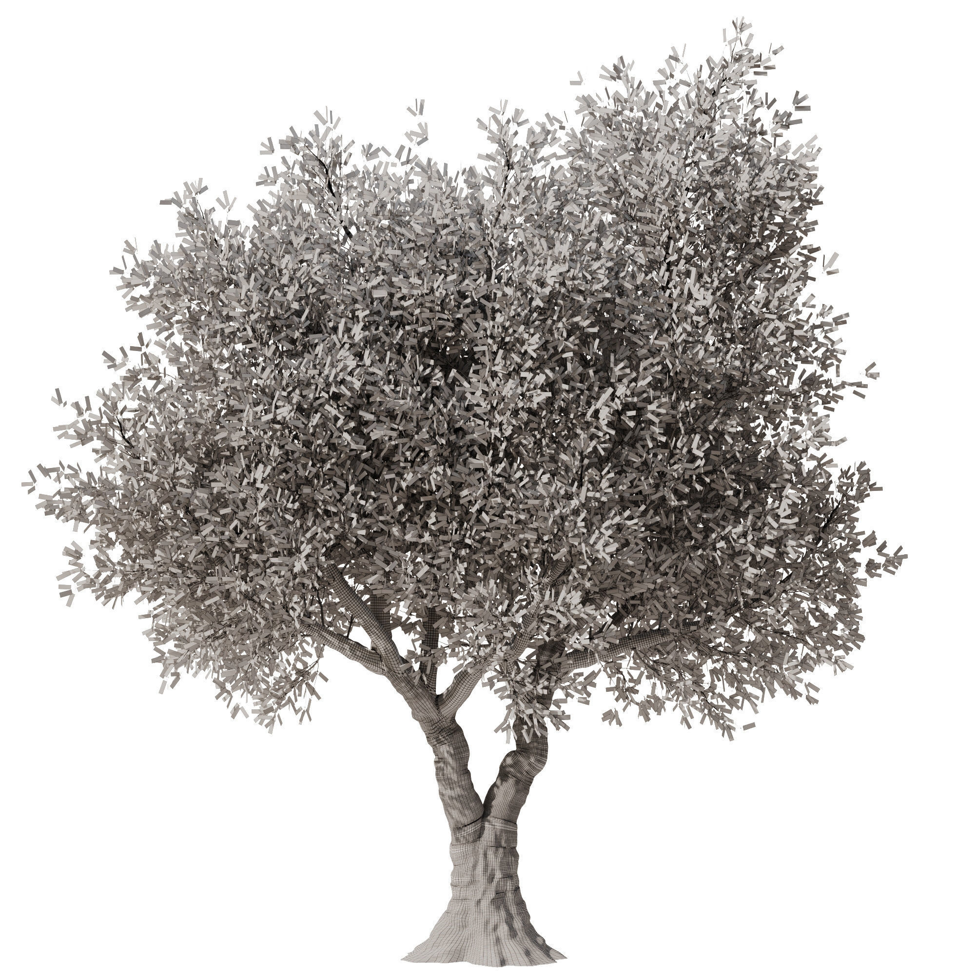 Olive Tree Set3 3D model_3