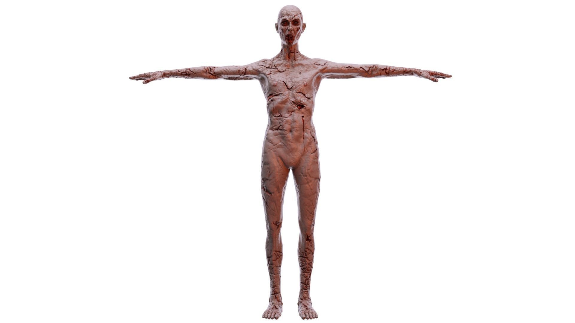 Low Poly Zombie Male Nude High Quality  Affordable 3D Model Low-poly 3D model_5