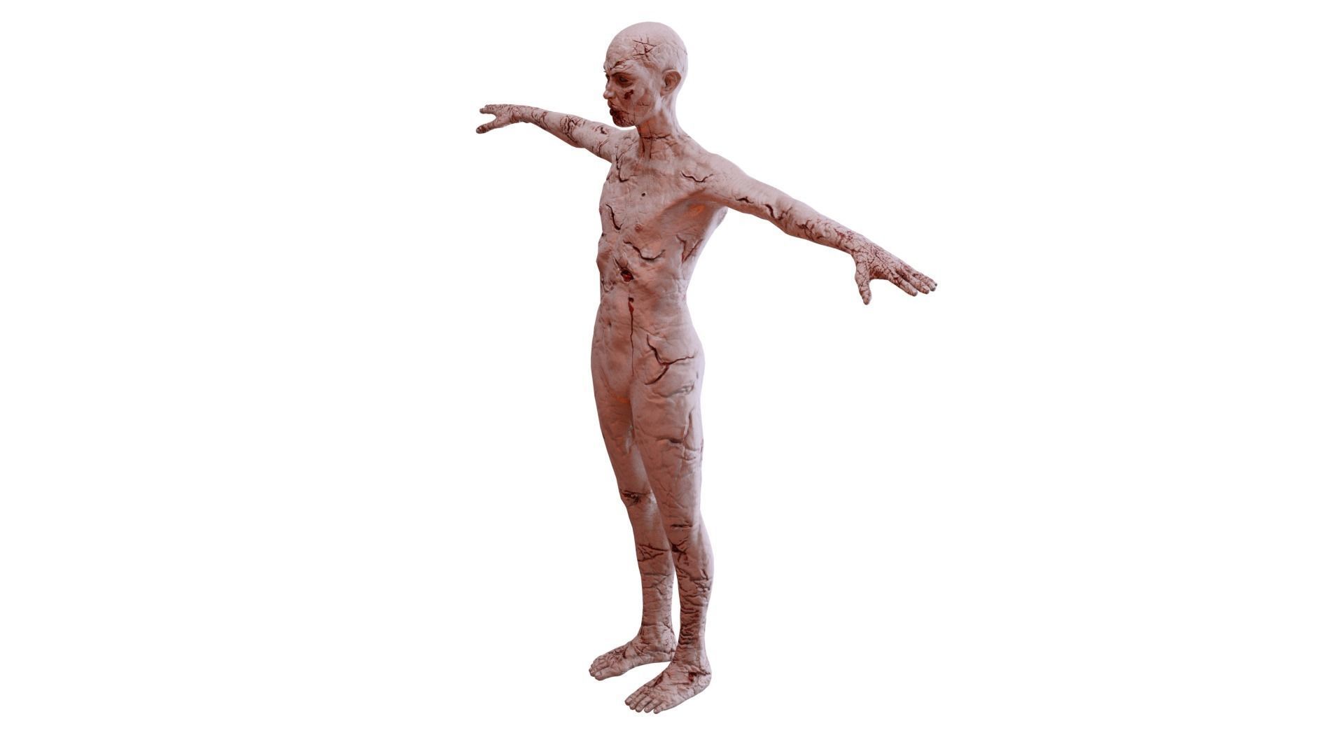 Low Poly Zombie Male Nude High Quality  Affordable 3D Model Low-poly 3D model_4