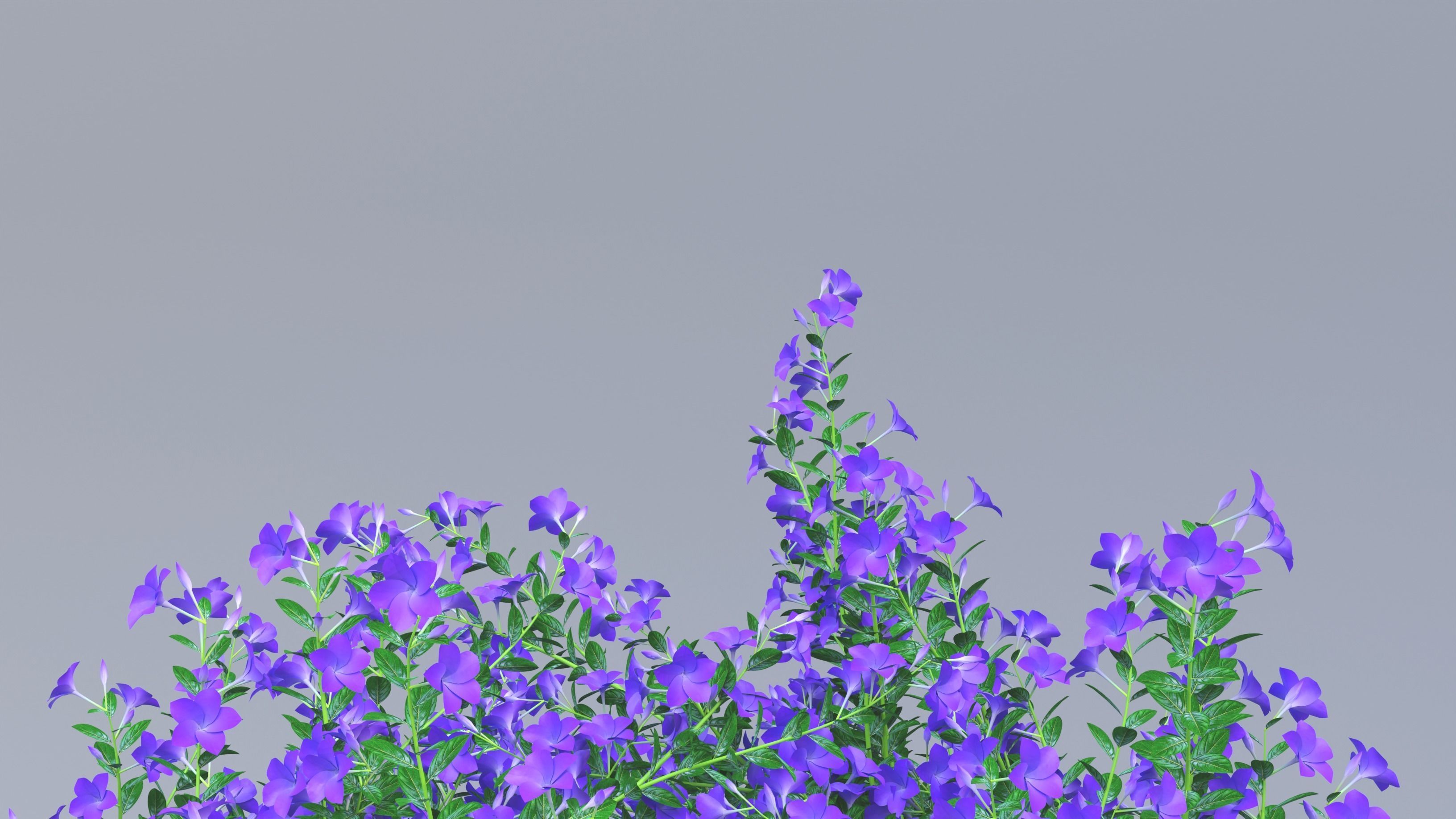 3d Gate With Flower 03 3D model_3