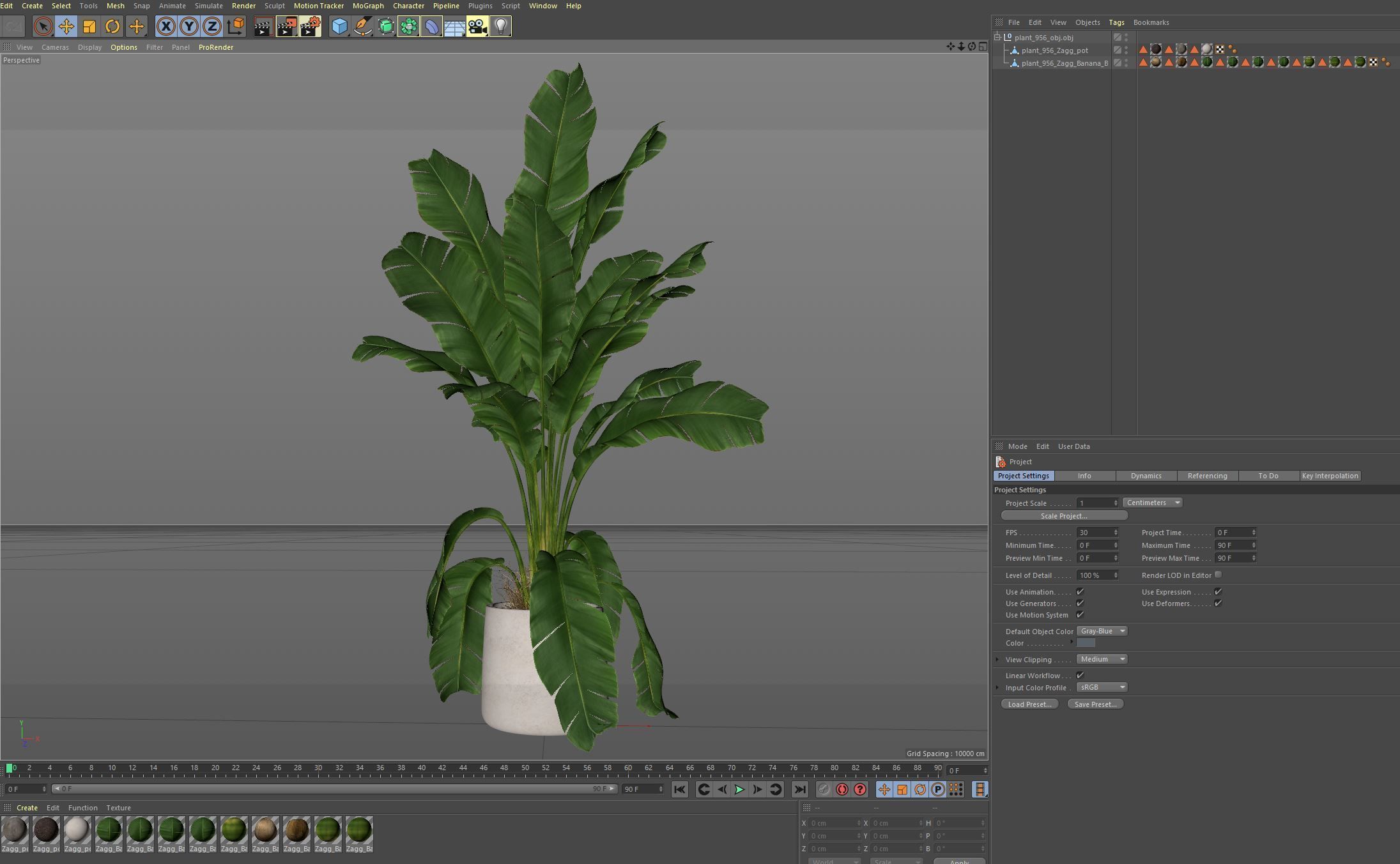 Plants collection 956 3D model_7