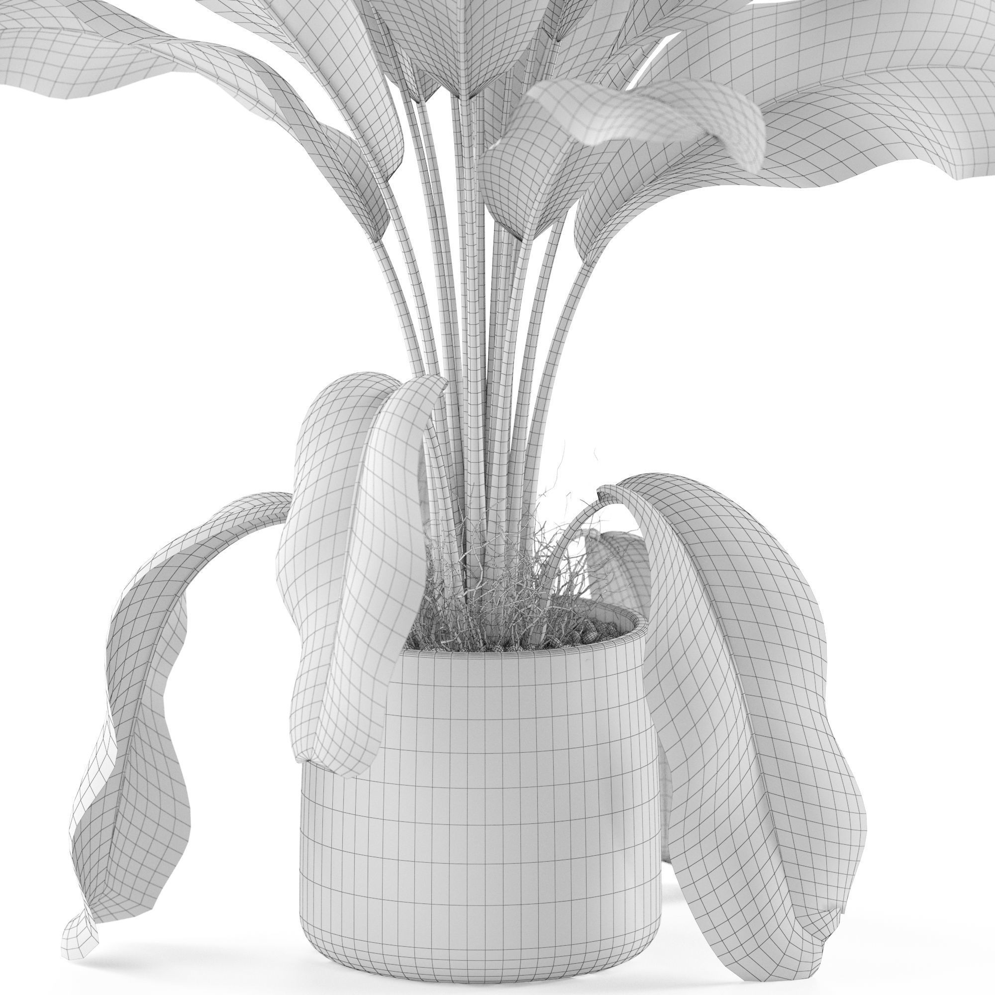 Plants collection 956 3D model_5
