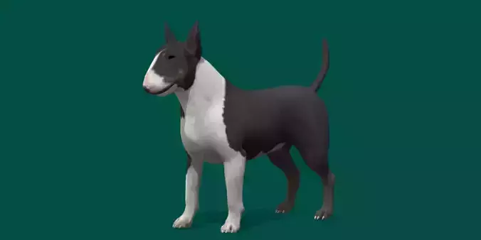 Bull Terrier Game Ready 3D model
