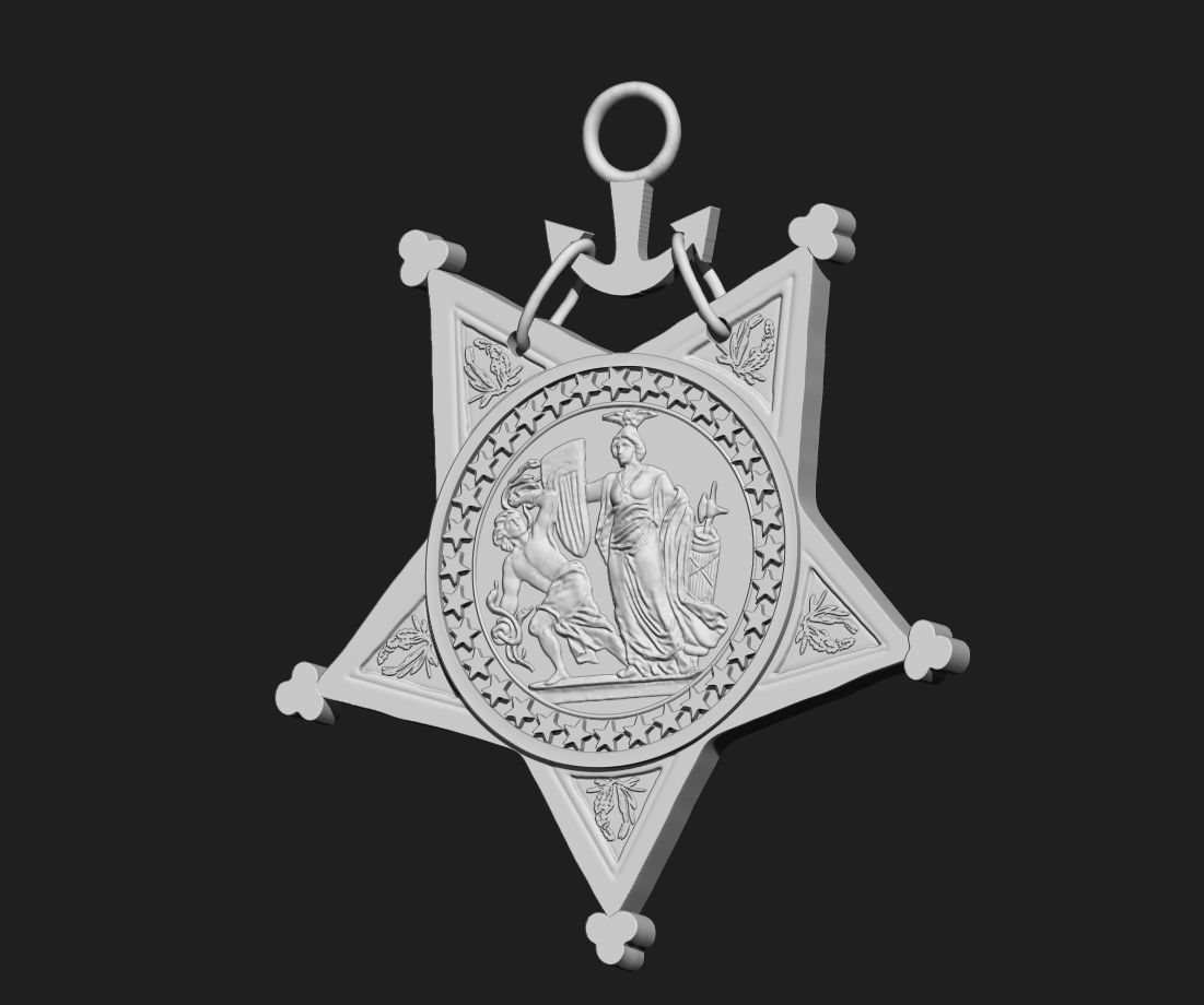 Navy Medal of Honor  3D print model_4