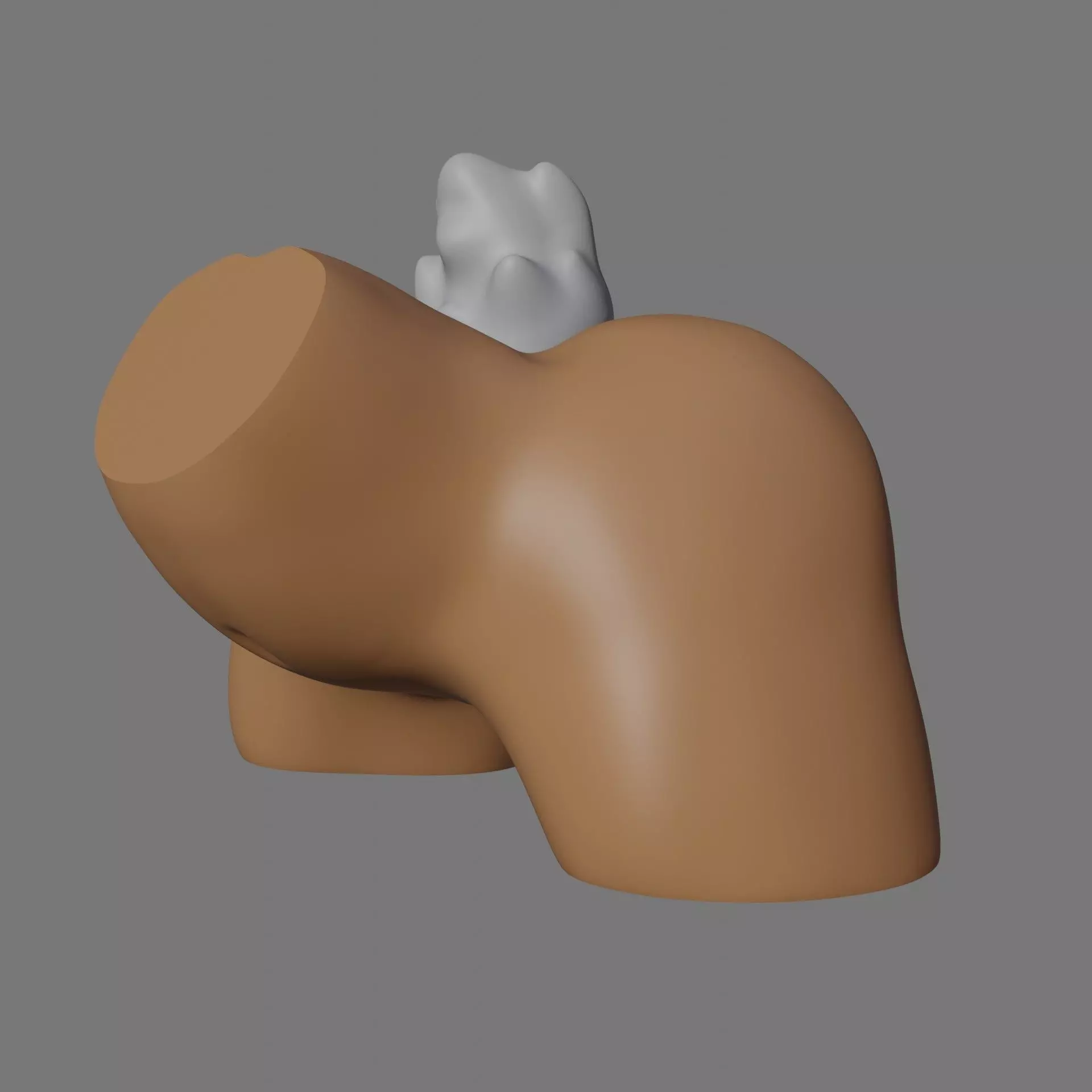 Bunny ass - 3d model exercise Free 3D print model_0