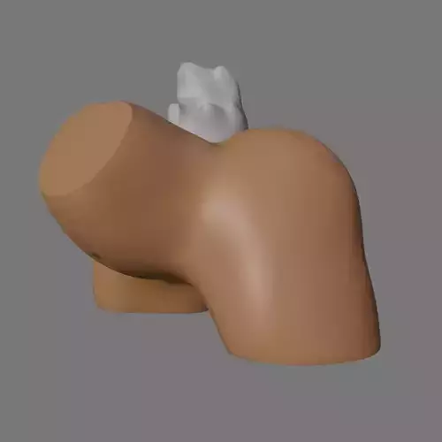 Bunny ass - 3d model exercise