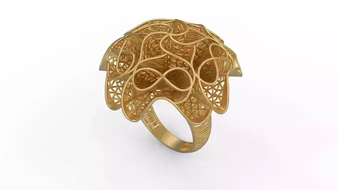 Ultra Vision Ring 972 3D print model