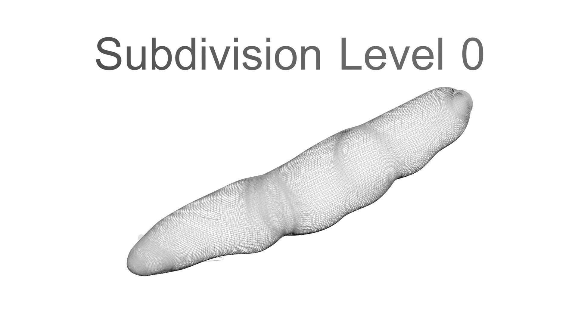 Electric Eel 3D model_21