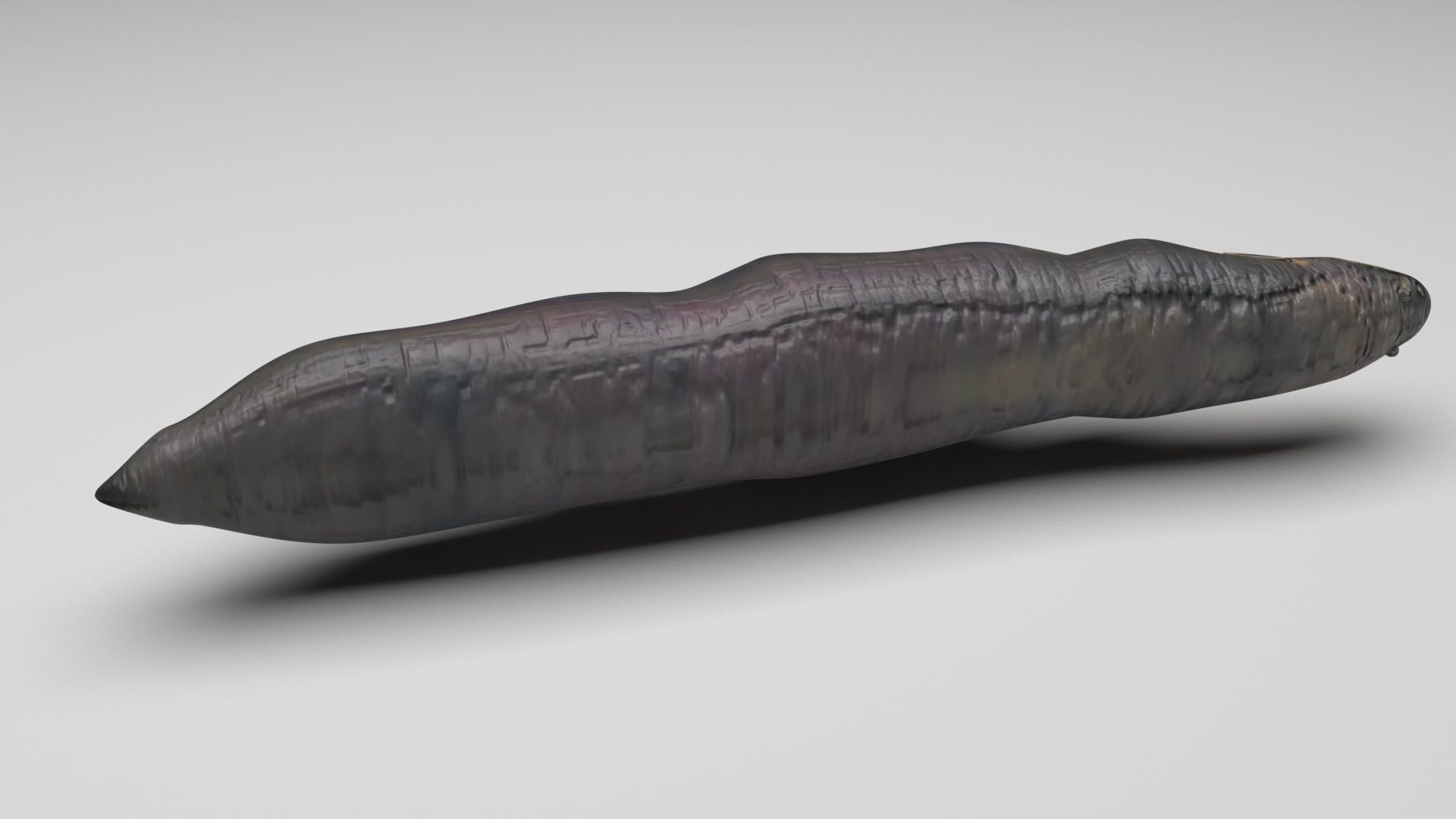 Electric Eel 3D model_2