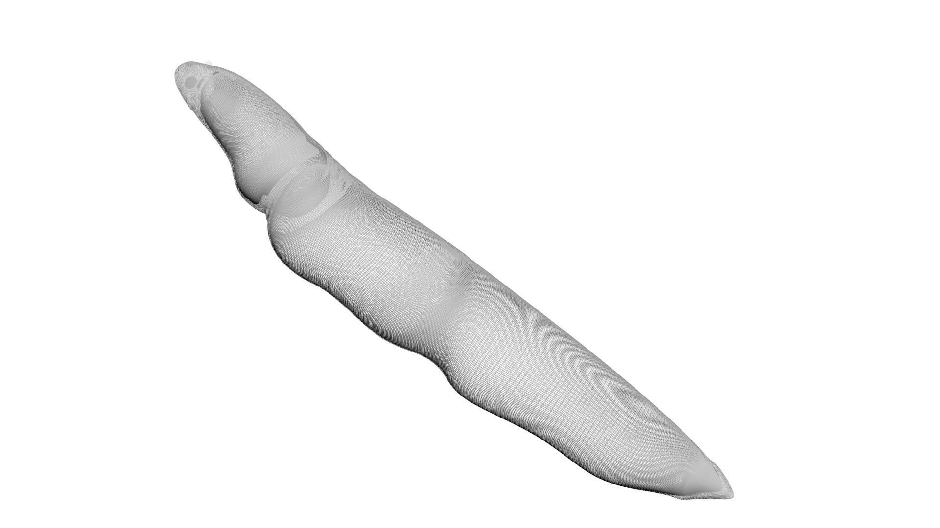 Electric Eel 3D model_15