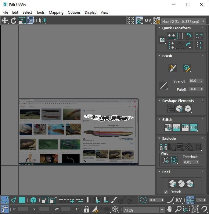 Electric Eel 3D model_24
