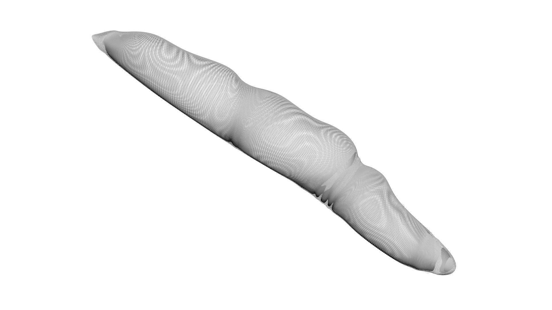 Electric Eel 3D model_17