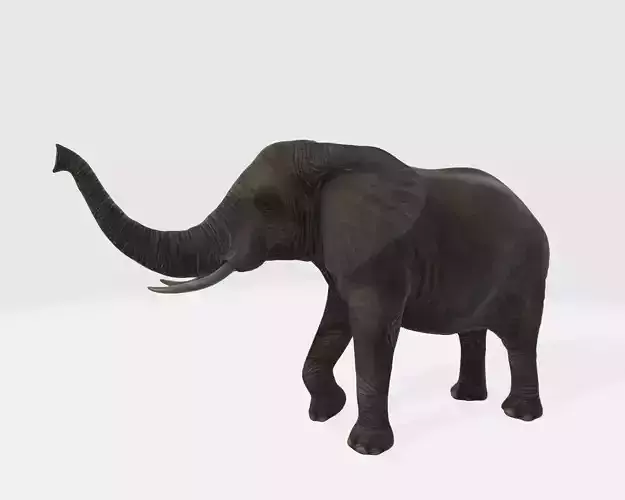 Elephant Animal 3D Model Ready to Print 3D print model