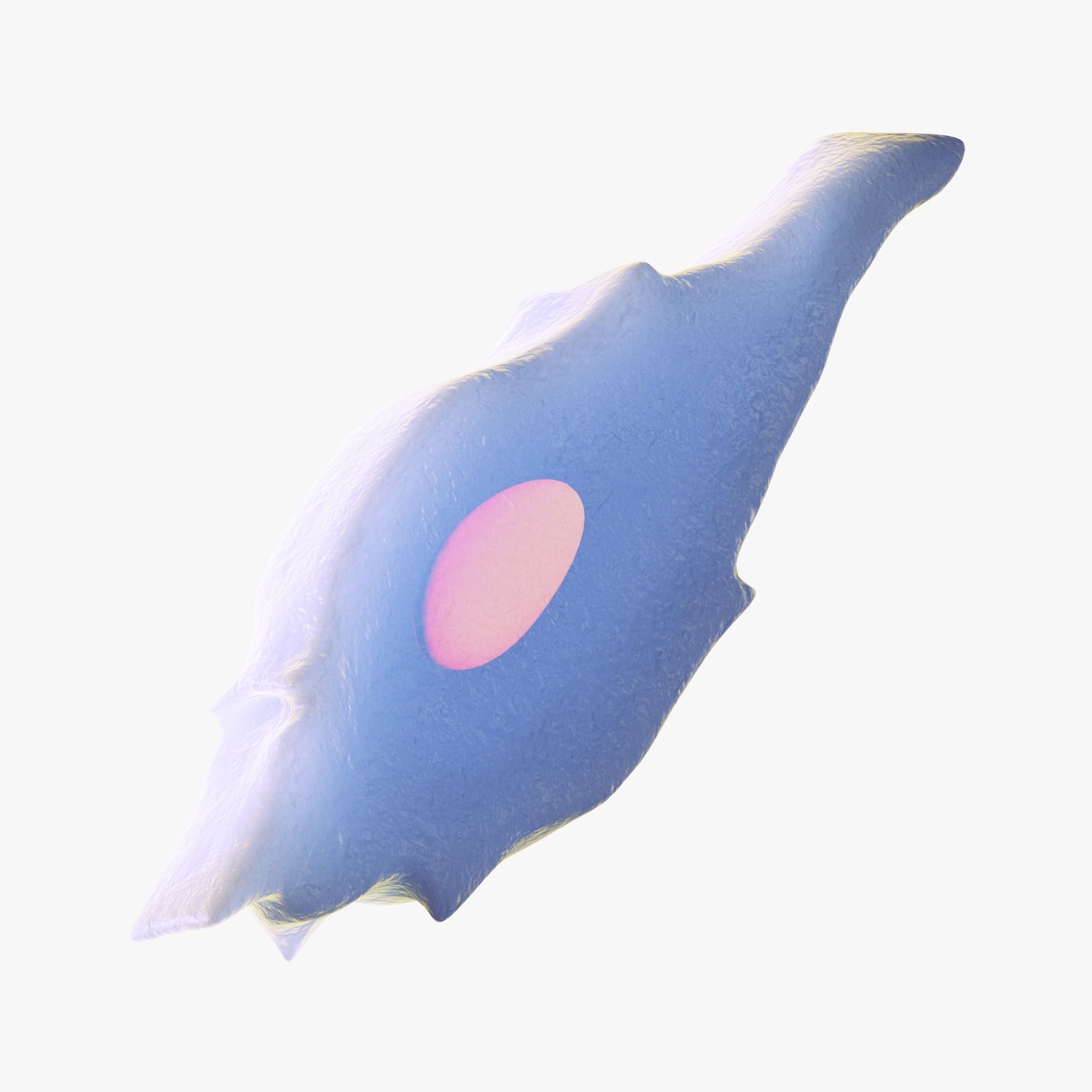 Osteo Cell Anatomy Pack 3D model_6