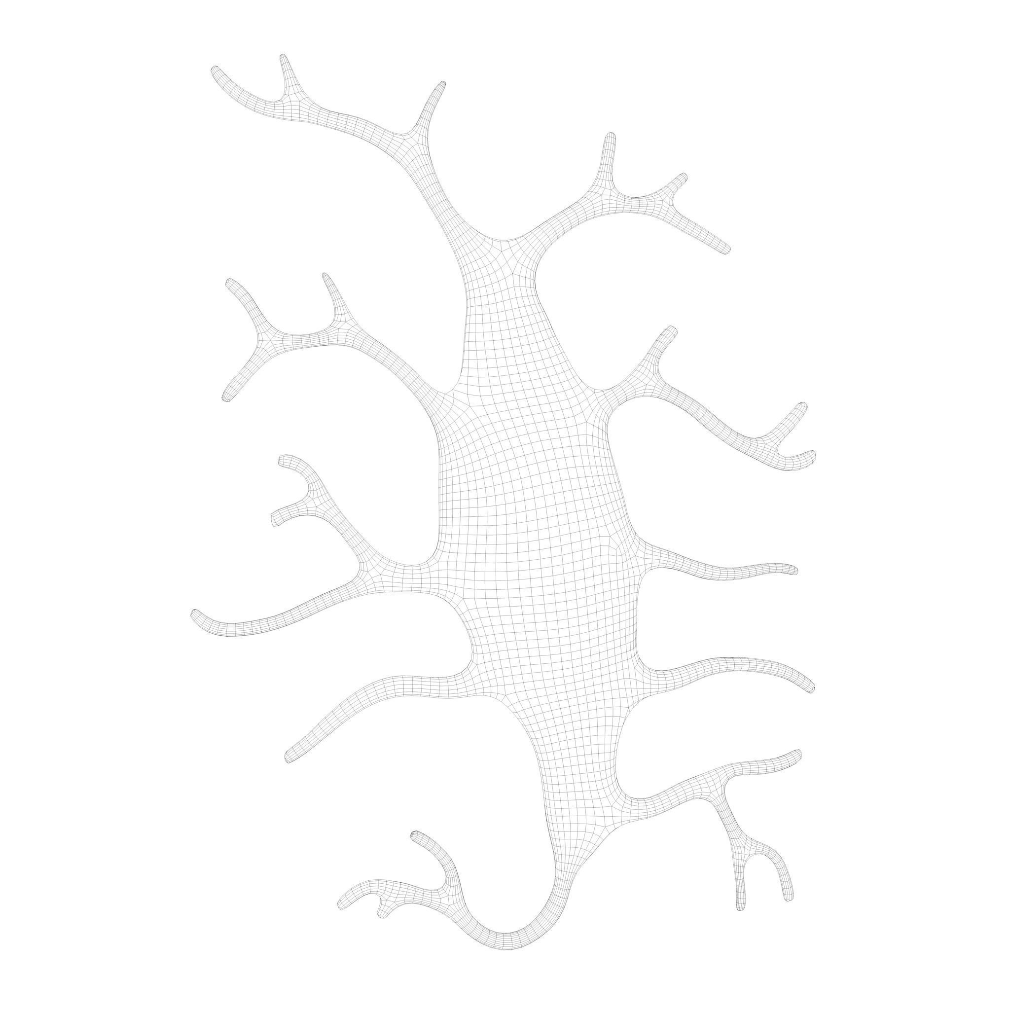 Osteo Cell Anatomy Pack 3D model_11