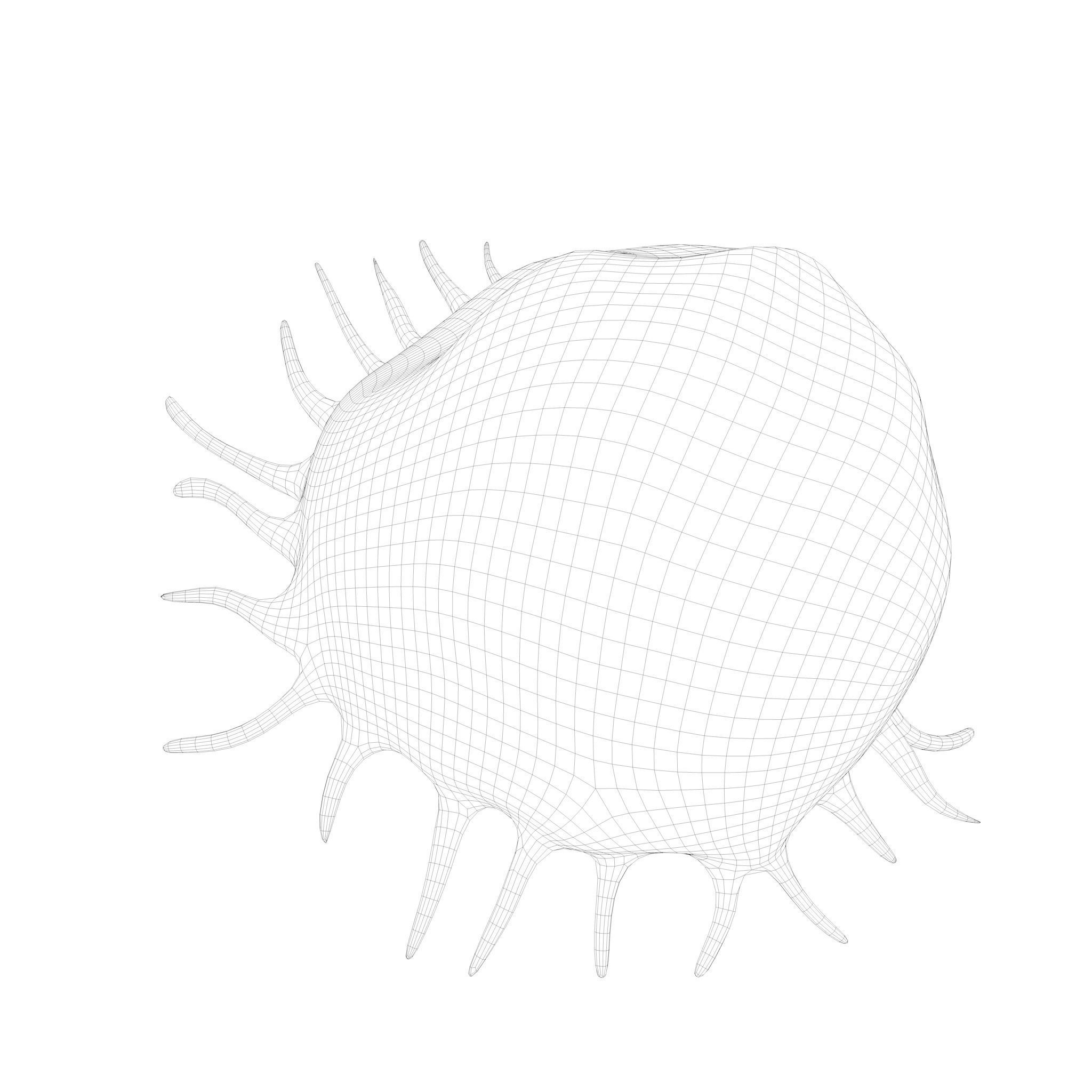 Osteo Cell Anatomy Pack 3D model_10