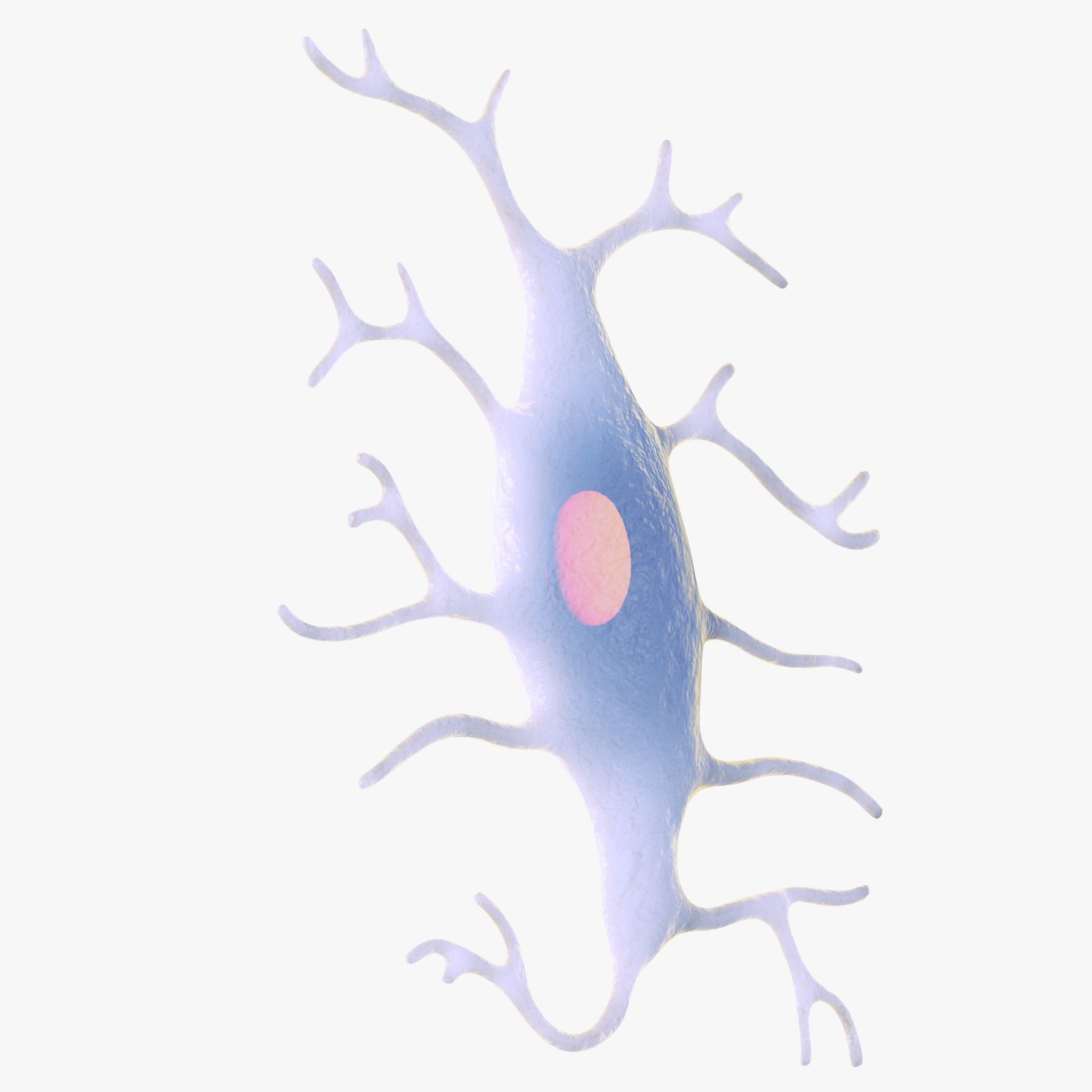 Osteo Cell Anatomy Pack 3D model_5