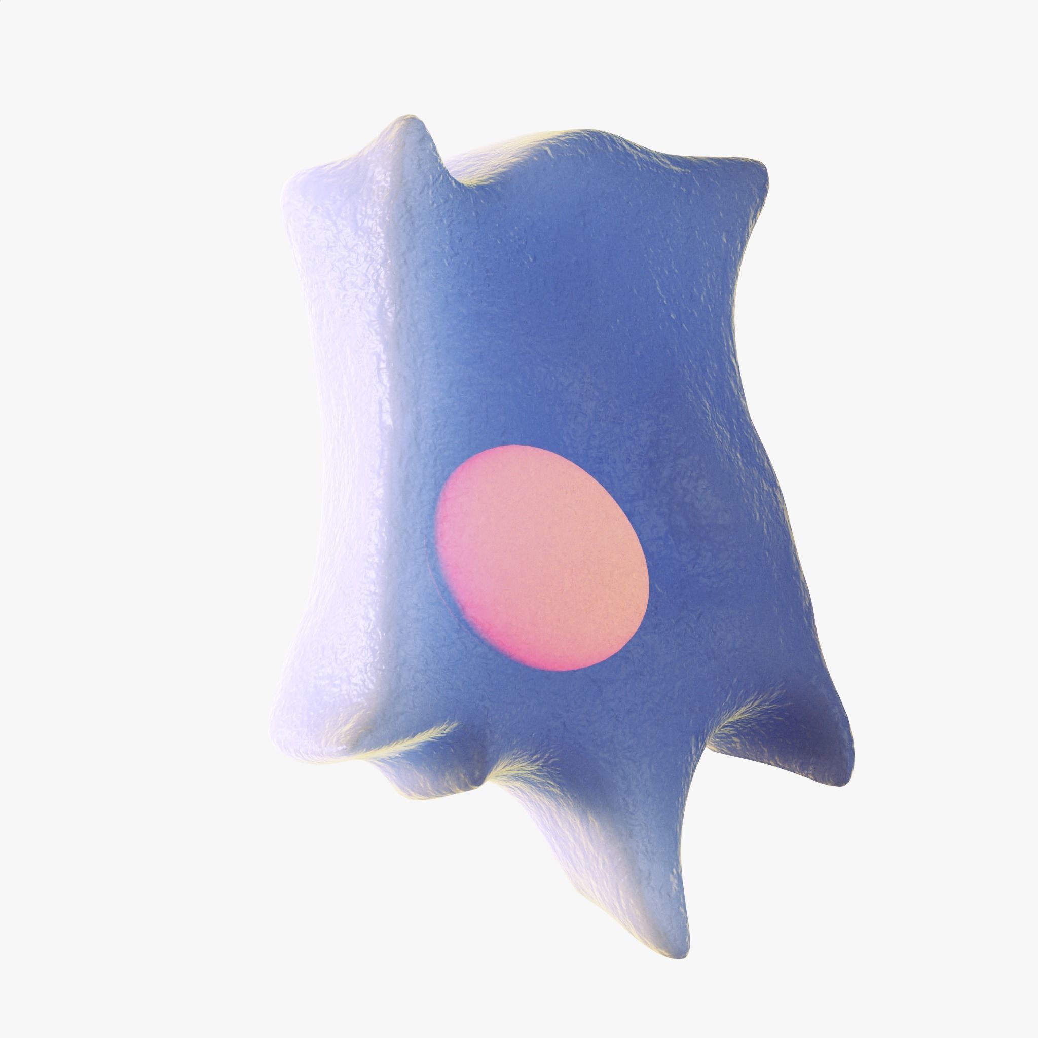 Osteo Cell Anatomy Pack 3D model_7