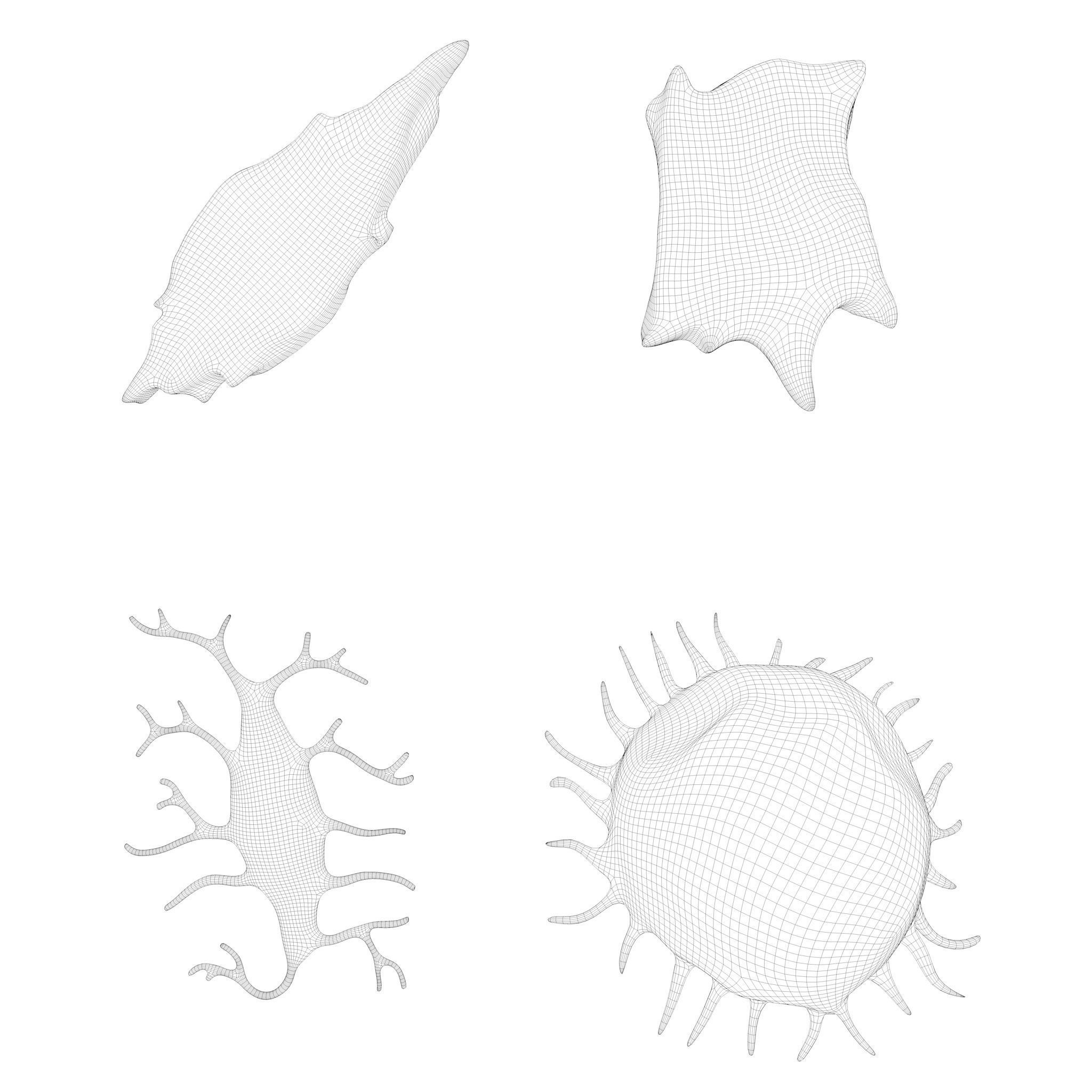 Osteo Cell Anatomy Pack 3D model_9