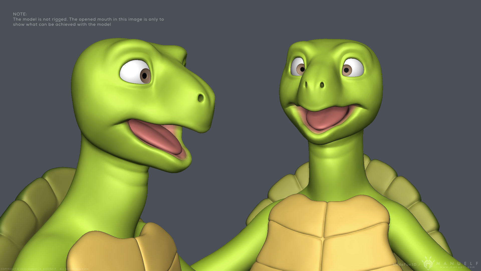 Stylized Cartoon Turtle - Biped 3D model_13