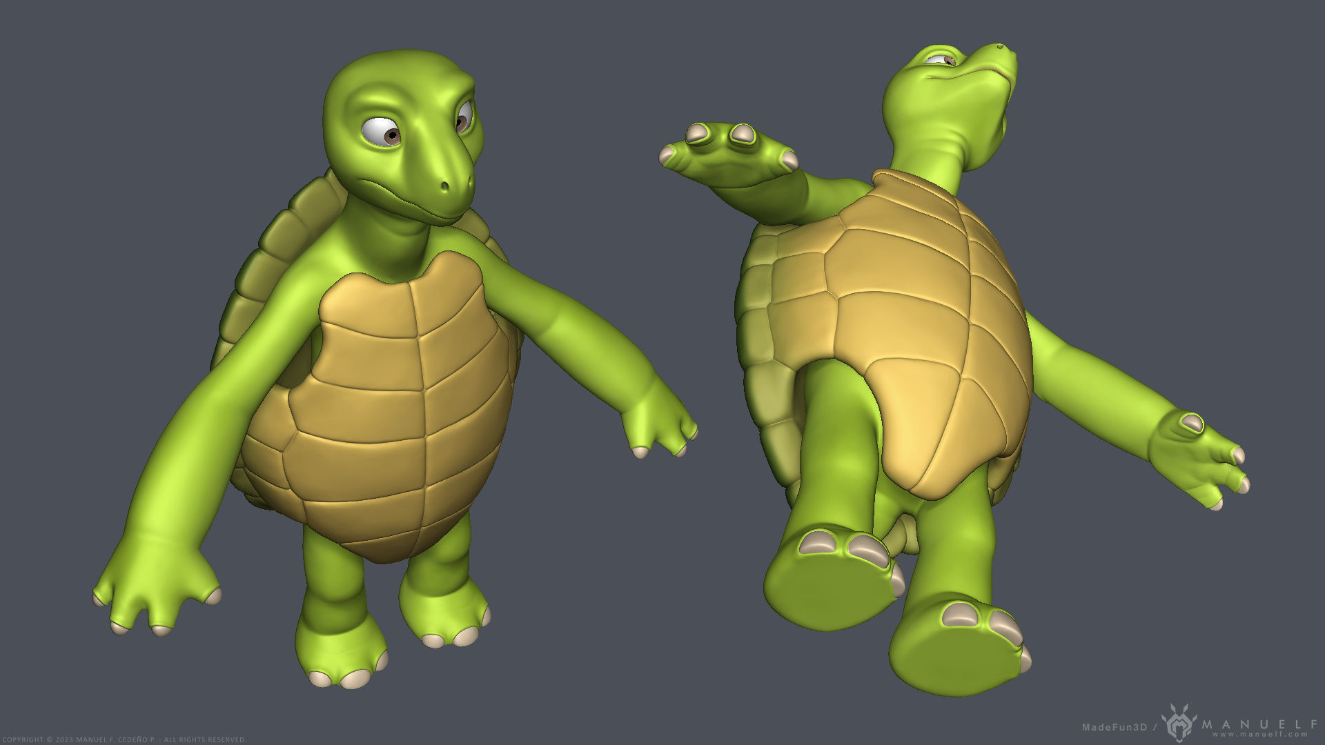 Stylized Cartoon Turtle - Biped 3D model_10