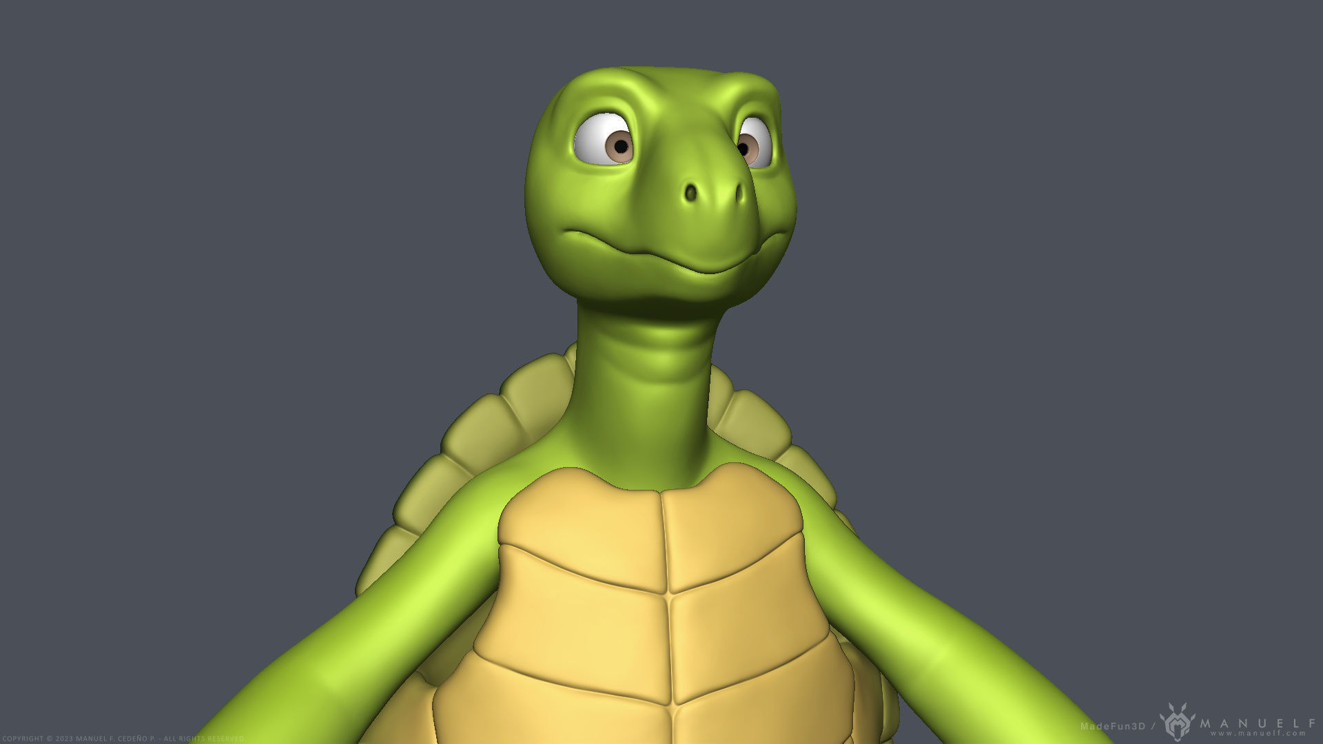 Stylized Cartoon Turtle - Biped 3D model_7