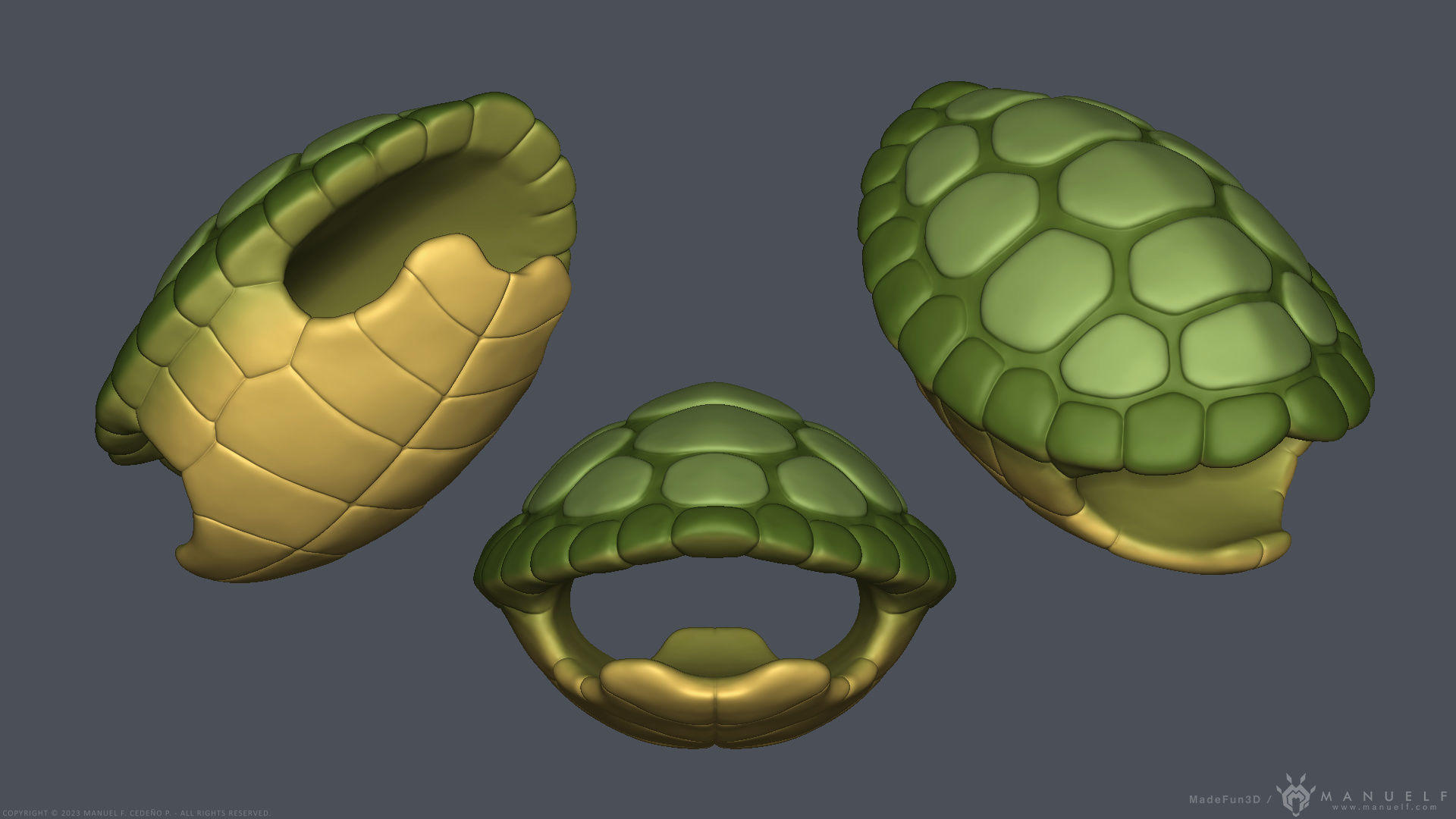 Stylized Cartoon Turtle - Biped 3D model_12