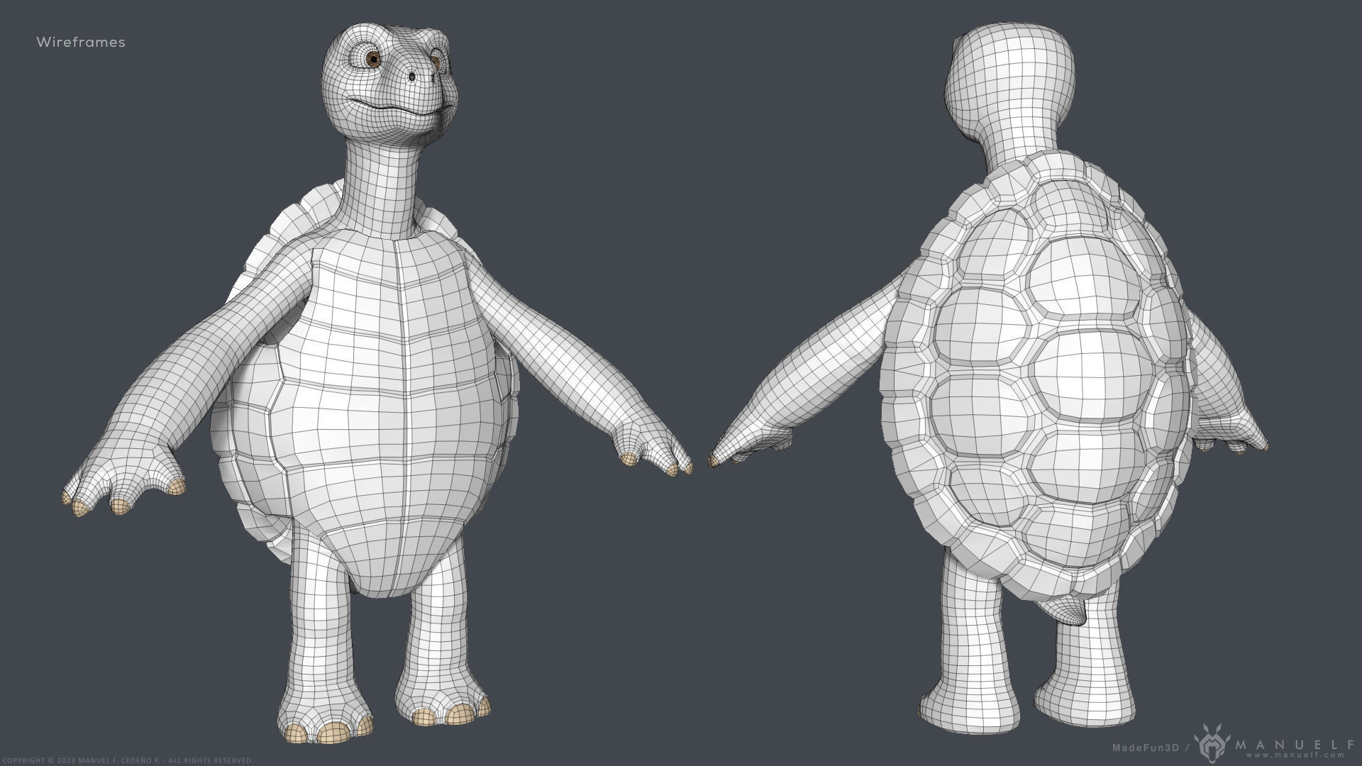Stylized Cartoon Turtle - Biped 3D model_17