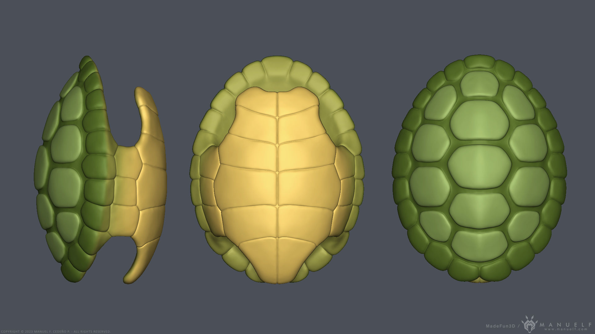 Stylized Cartoon Turtle - Biped 3D model_11
