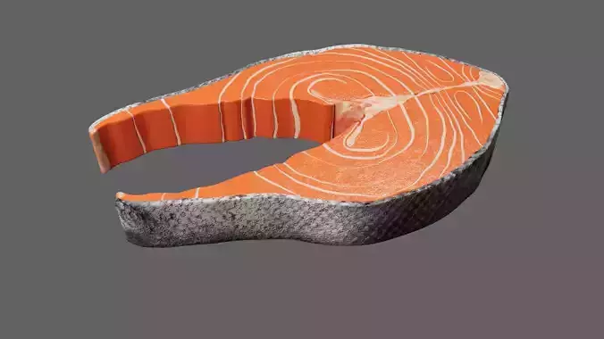 Slice of Raw Salmon