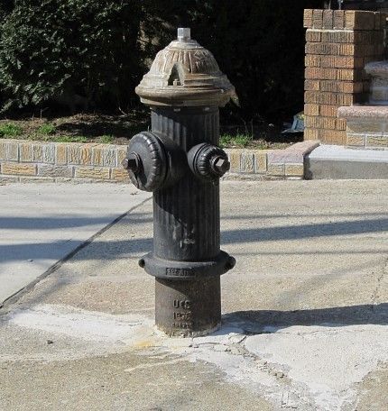 NYC FIRE HYDRANT 3D model_1
