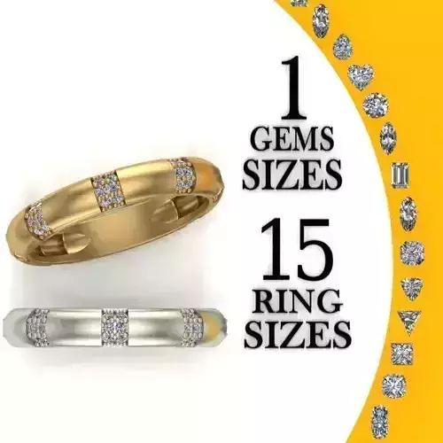 Engagement Ring with two strips gems