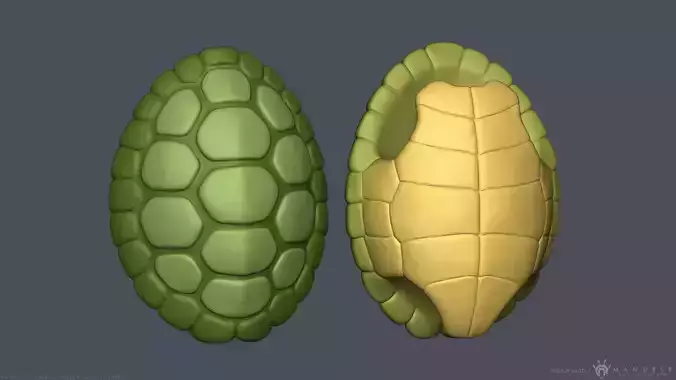 Stylized Cartoon Turtle Shell 3D model