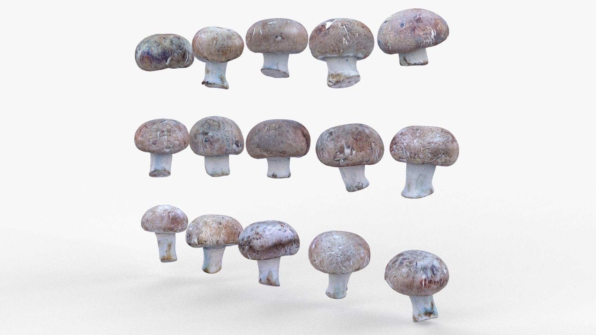 Brown Mushroom Scan Set Low-poly 3D model_2