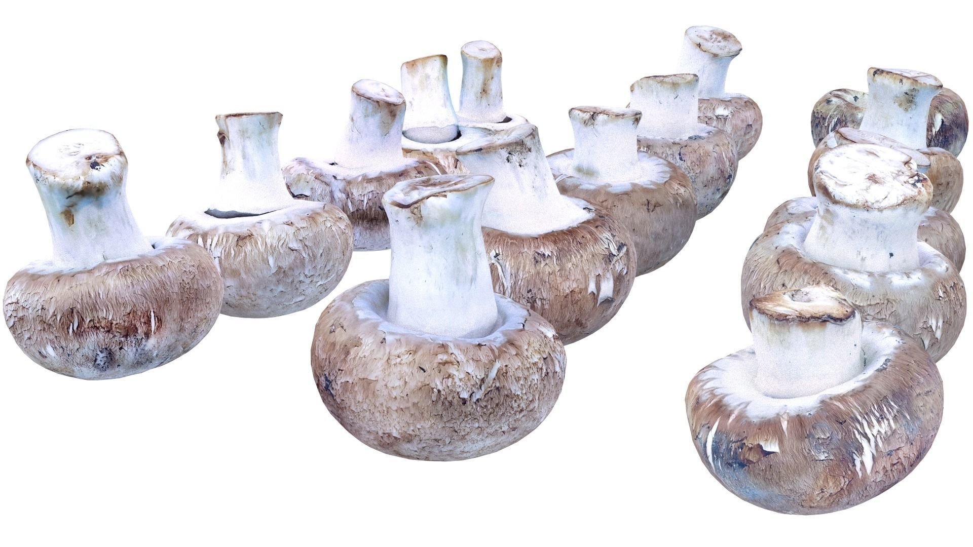 Brown Mushroom Scan Set Low-poly 3D model_29