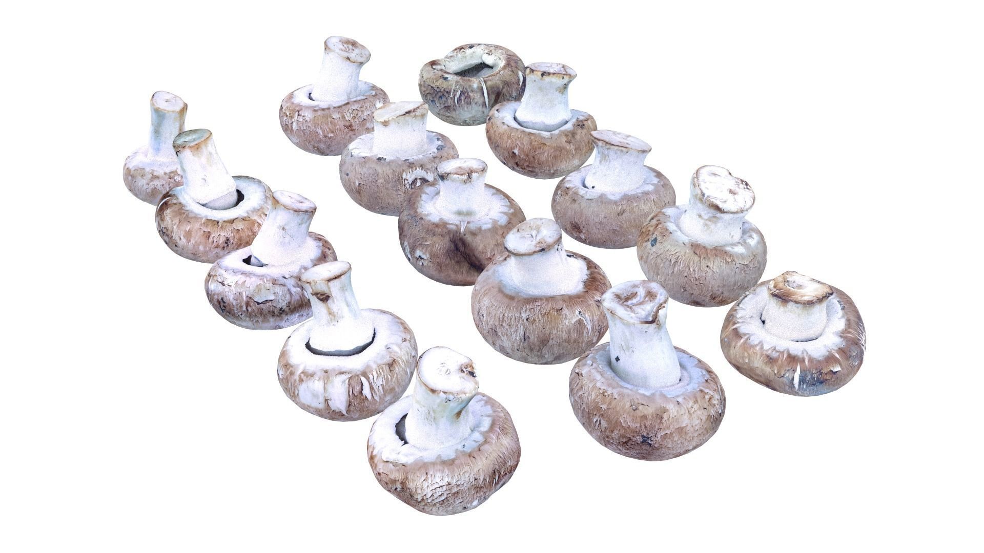 Brown Mushroom Scan Set Low-poly 3D model_21