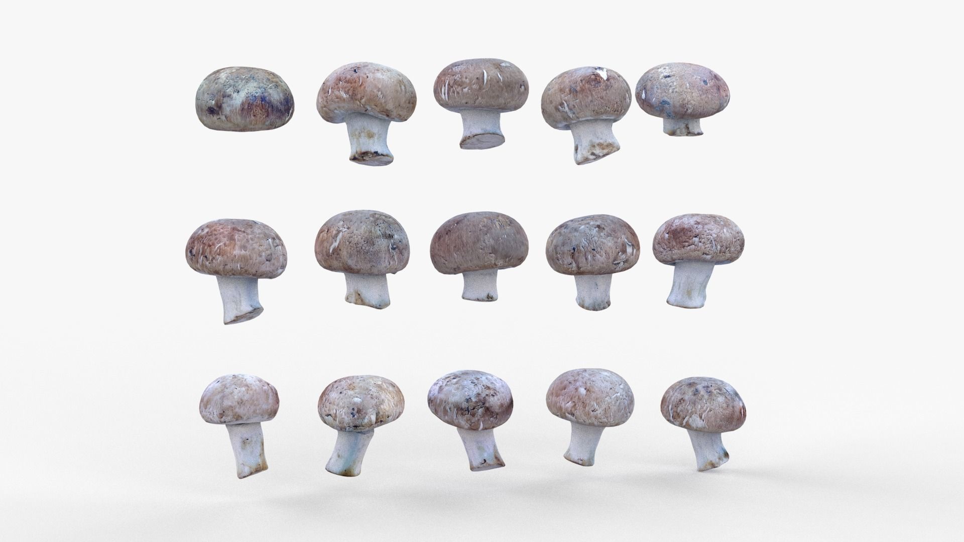 Brown Mushroom Scan Set Low-poly 3D model_5
