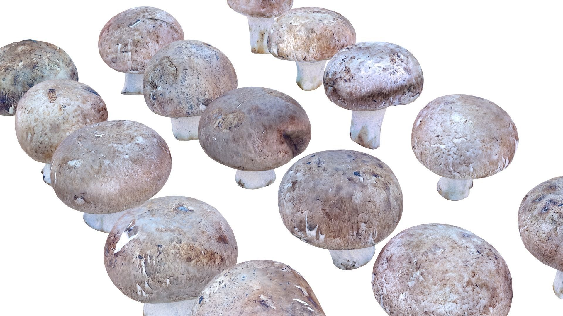 Brown Mushroom Scan Set Low-poly 3D model_26