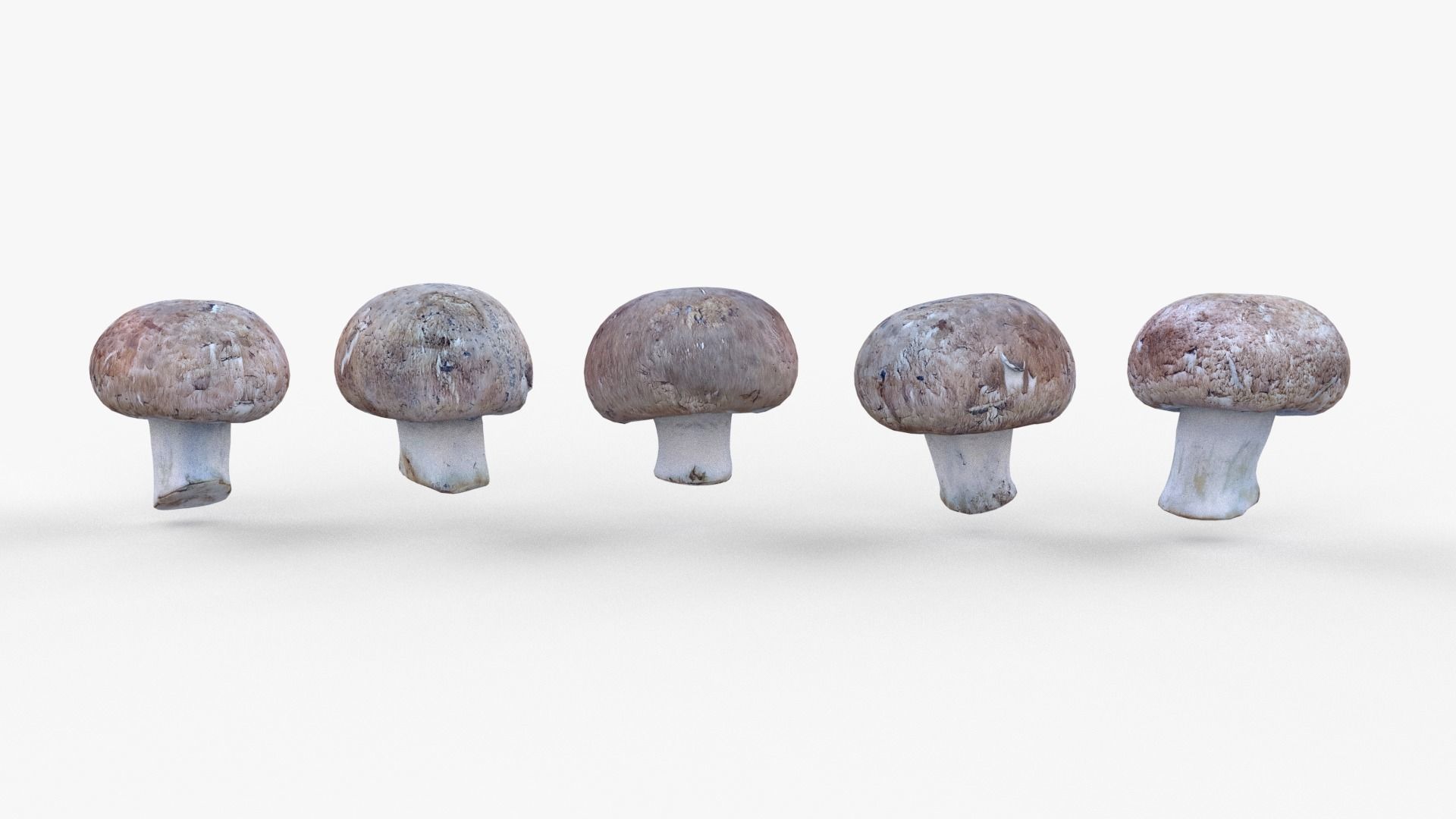 Brown Mushroom Scan Set Low-poly 3D model_32