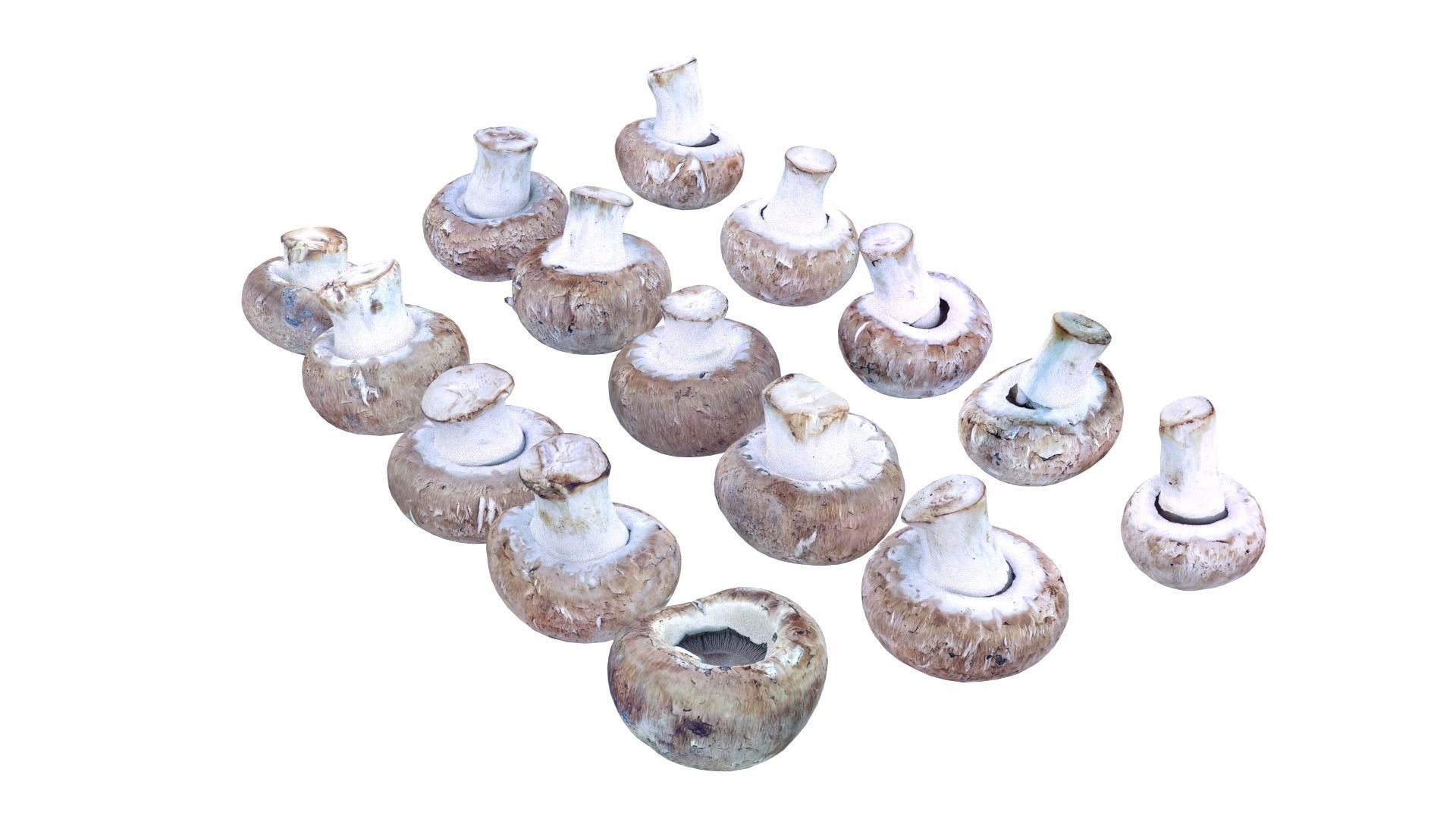 Brown Mushroom Scan Set Low-poly 3D model_19