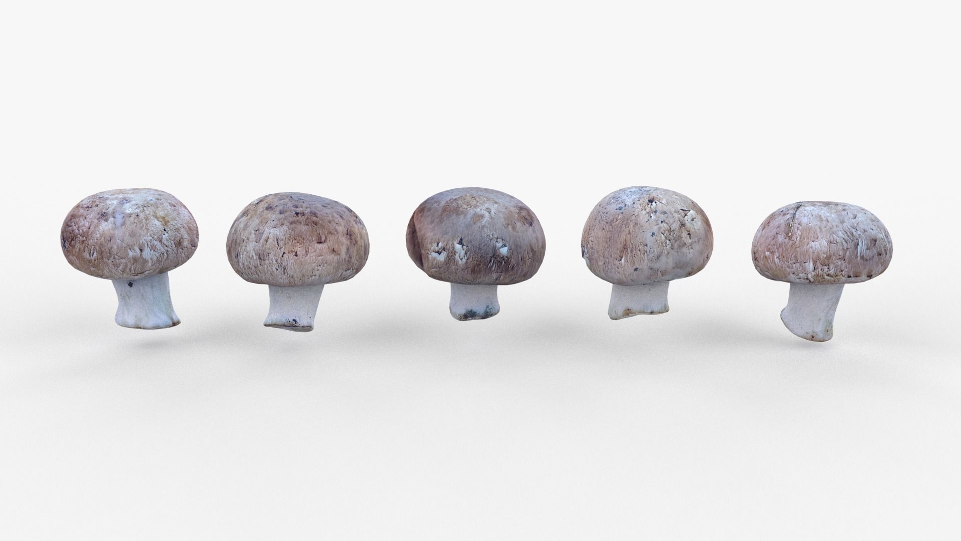 Brown Mushroom Scan Set Low-poly 3D model_33