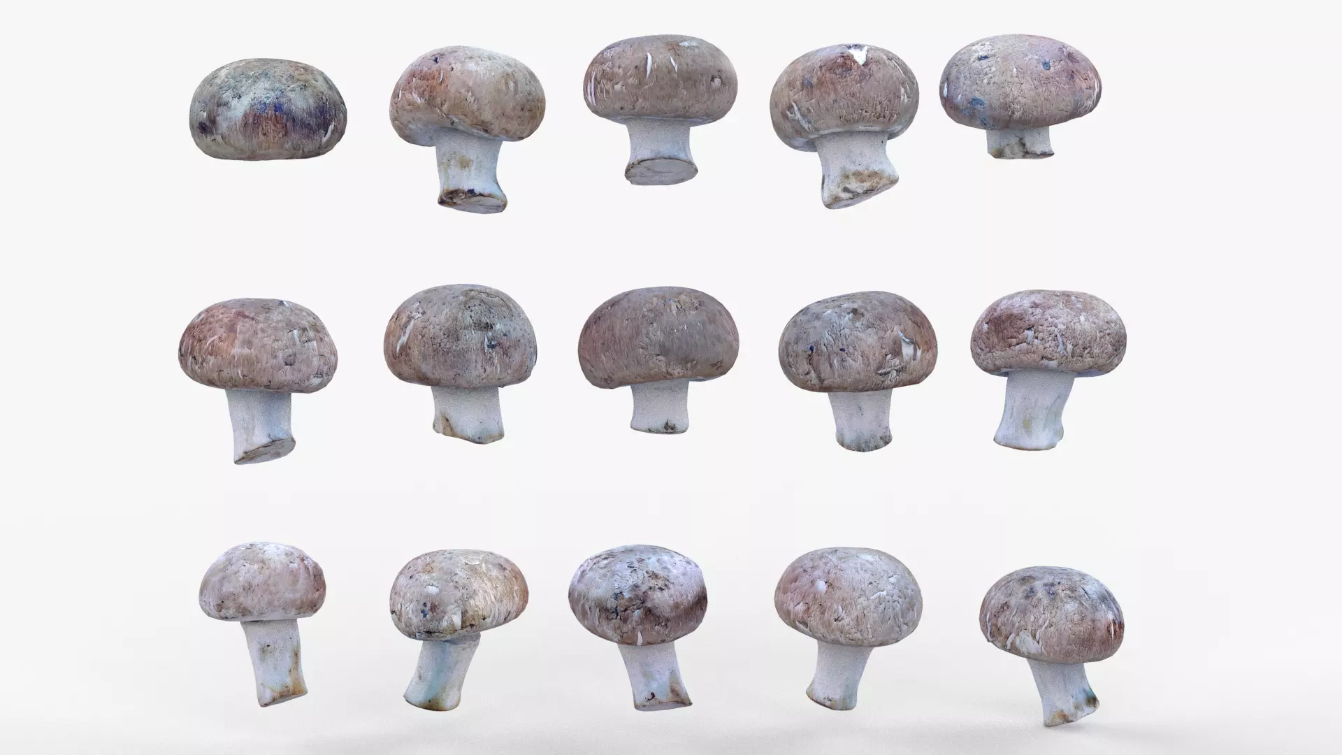 Brown Mushroom Scan Set Low-poly 3D model_0