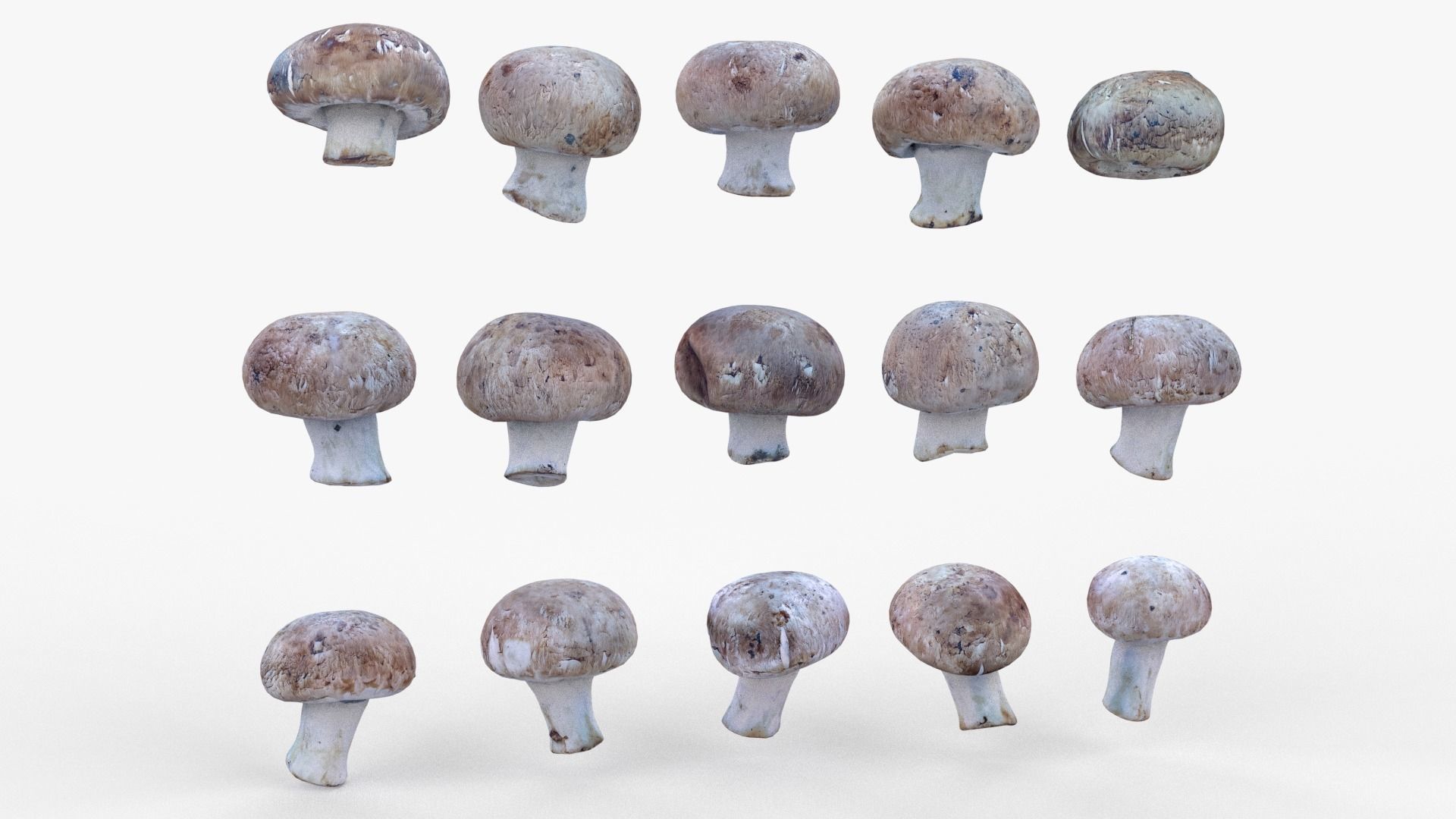 Brown Mushroom Scan Set Low-poly 3D model_3