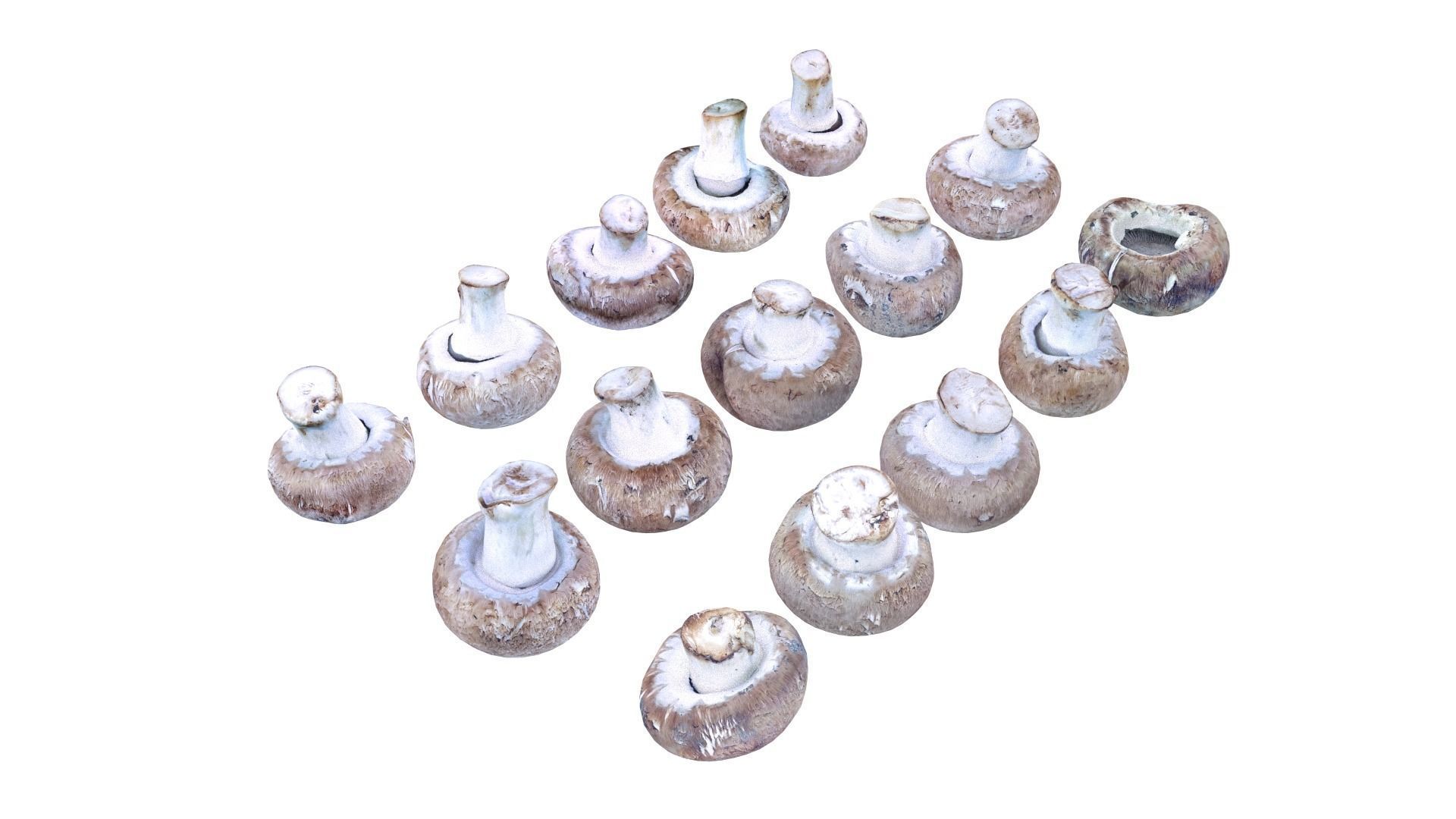 Brown Mushroom Scan Set Low-poly 3D model_20