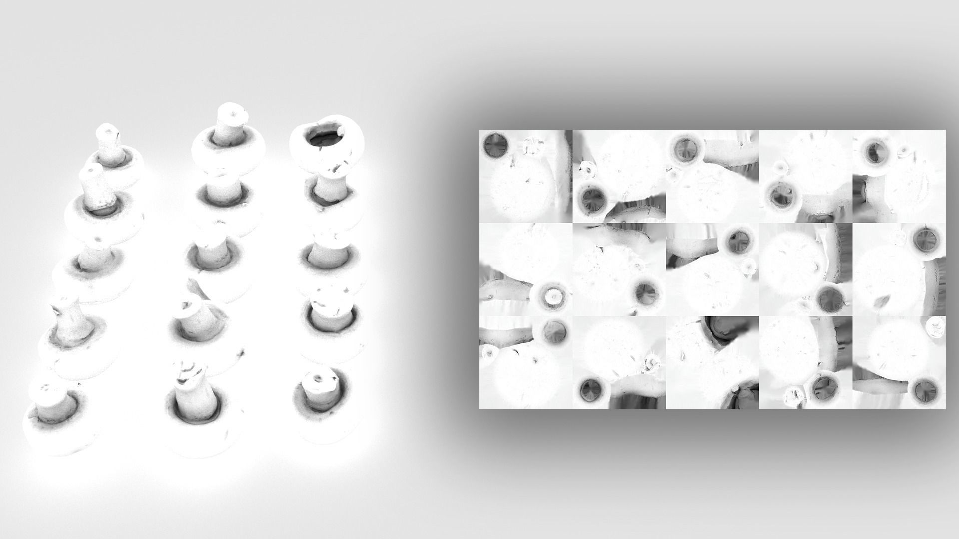 Brown Mushroom Scan Set Low-poly 3D model_49