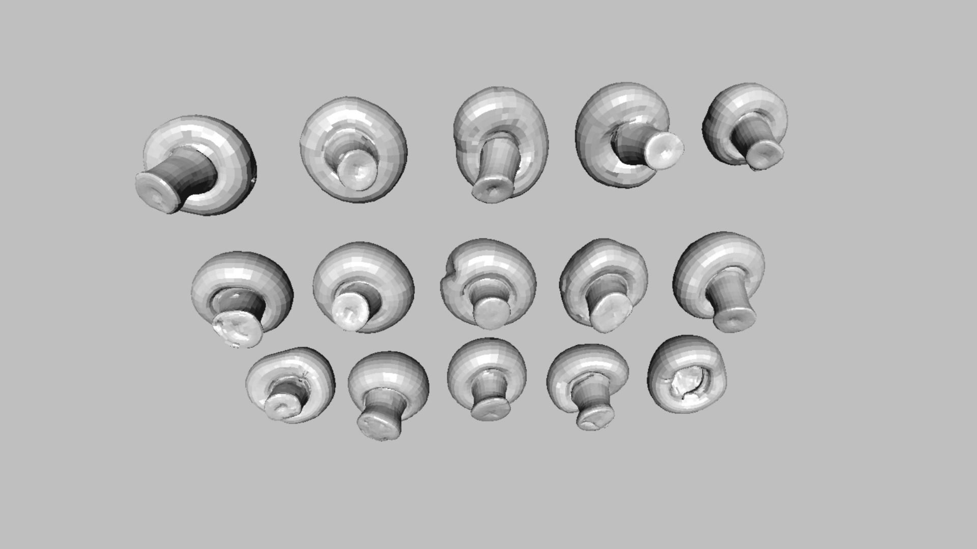 Brown Mushroom Scan Set Low-poly 3D model_50