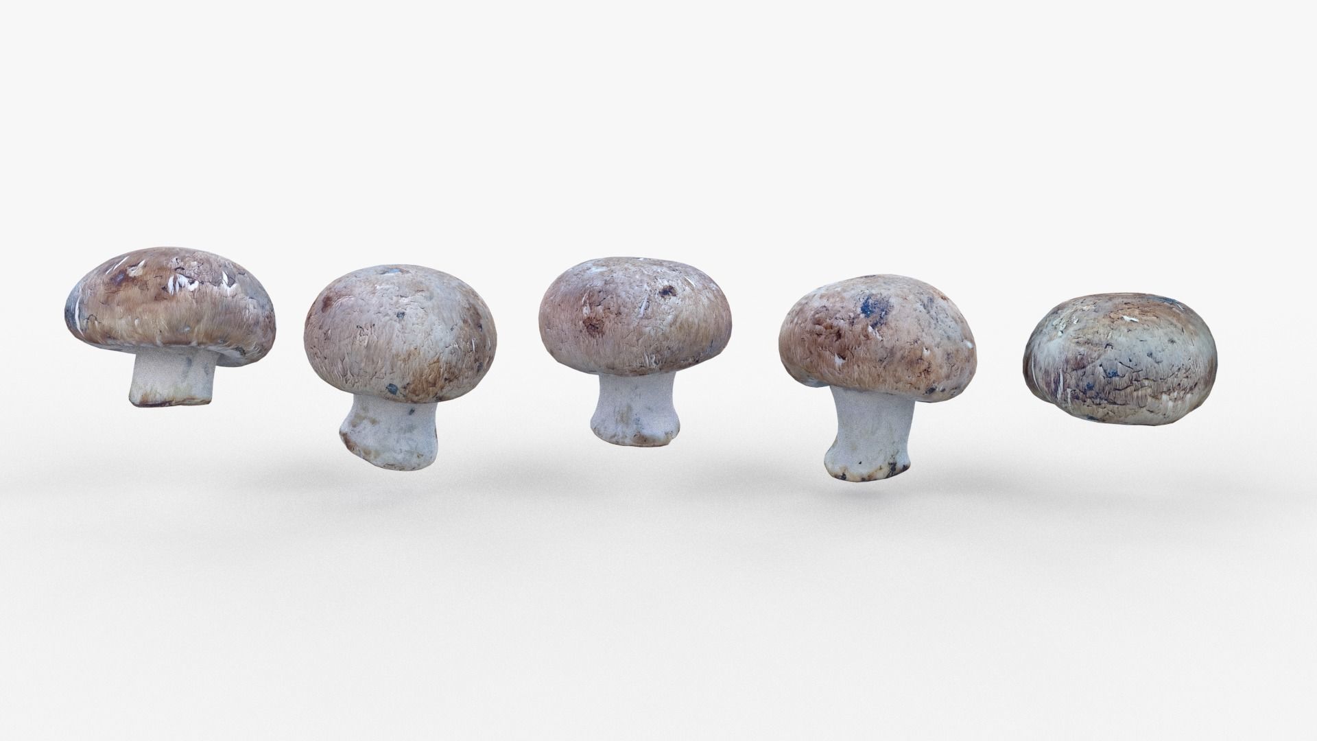 Brown Mushroom Scan Set Low-poly 3D model_34