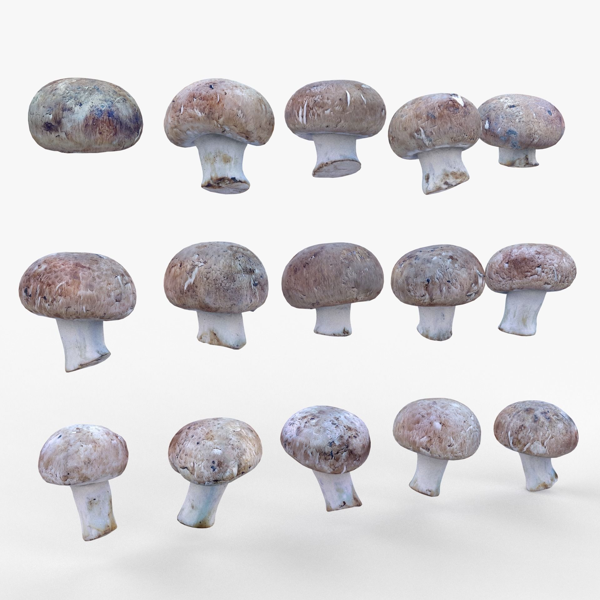 Brown Mushroom Scan Set Low-poly 3D model_1