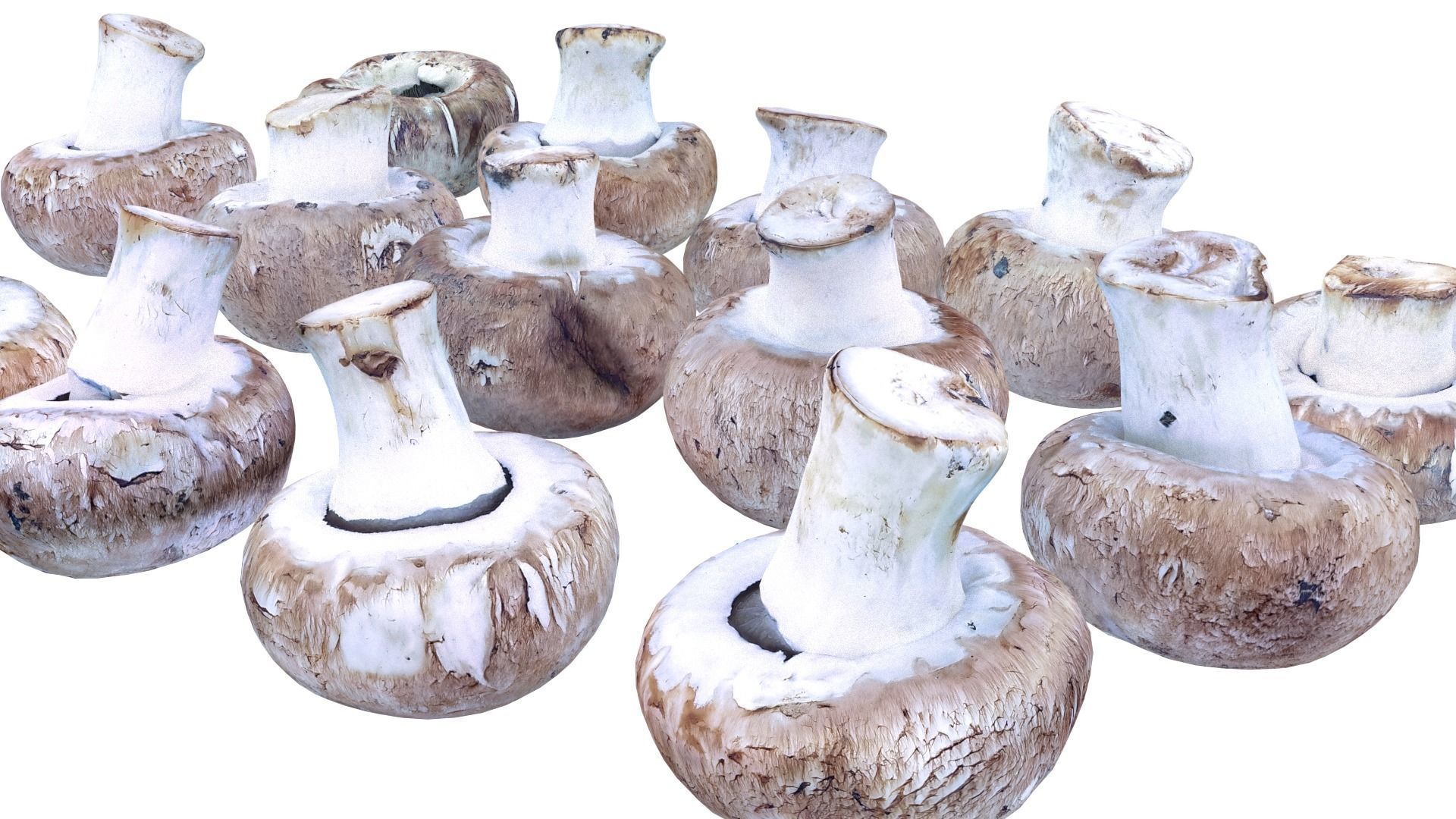 Brown Mushroom Scan Set Low-poly 3D model_28