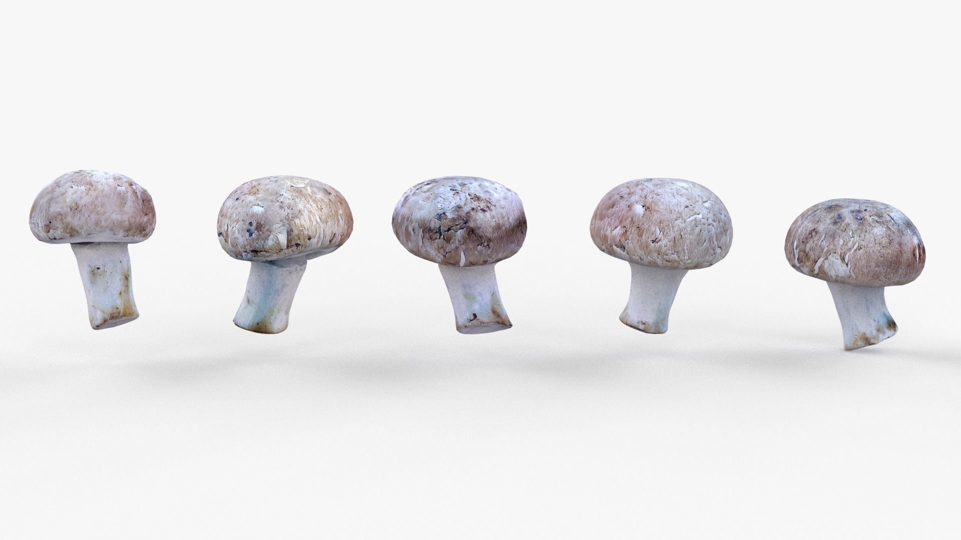 Brown Mushroom Scan Set Low-poly 3D model_31